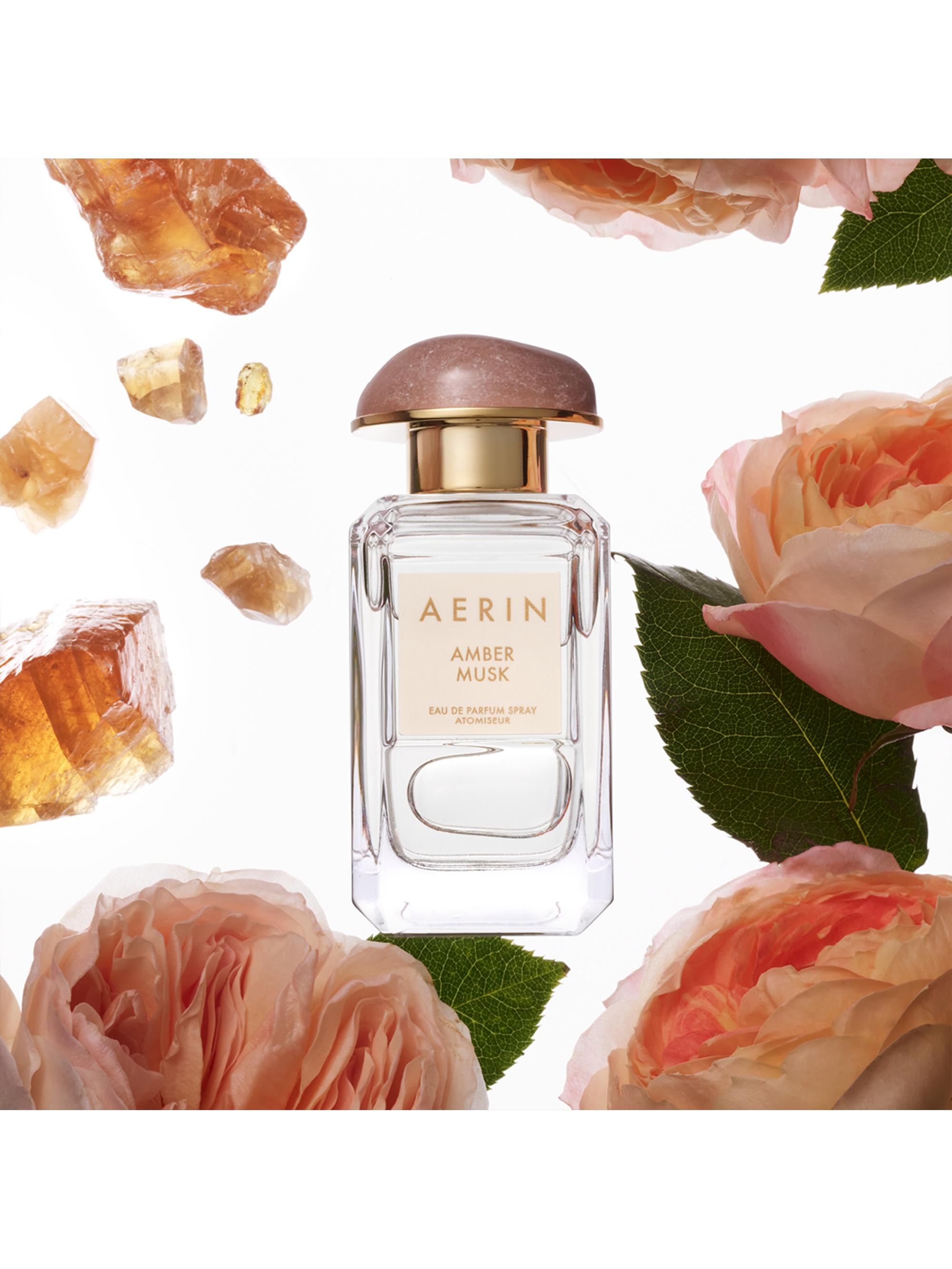 Aerin AERIN Amber Musk Eau de Parfum | Saks Fifth Avenue