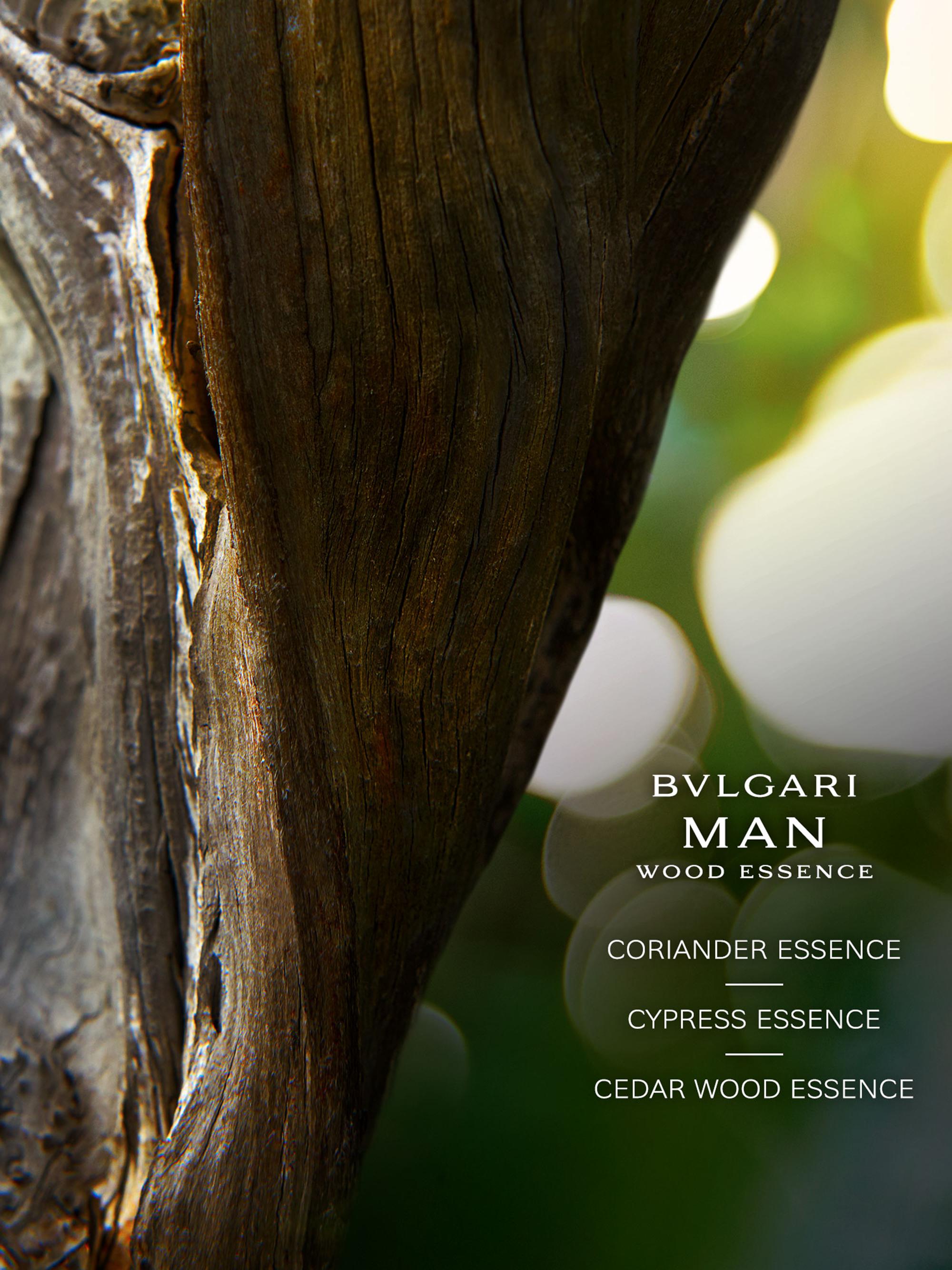 BVLGARI Man Wood Essence Eau de Parfum | Saks Fifth Avenue