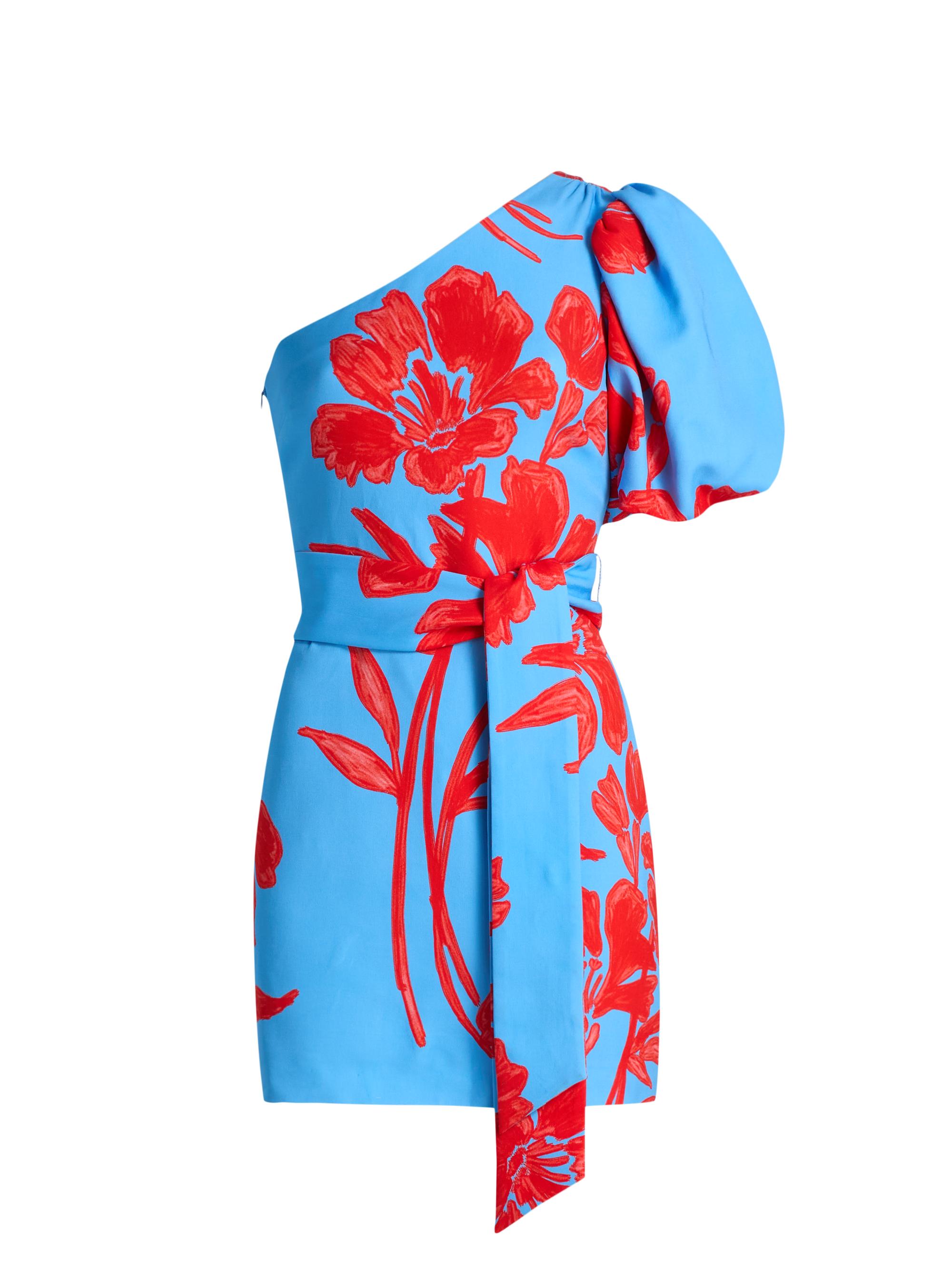 Cara Cara Women's Lucia One-Shoulder Puff Sleeve Floral Minidress - Flora Shadow Sky | Thumbnail 7