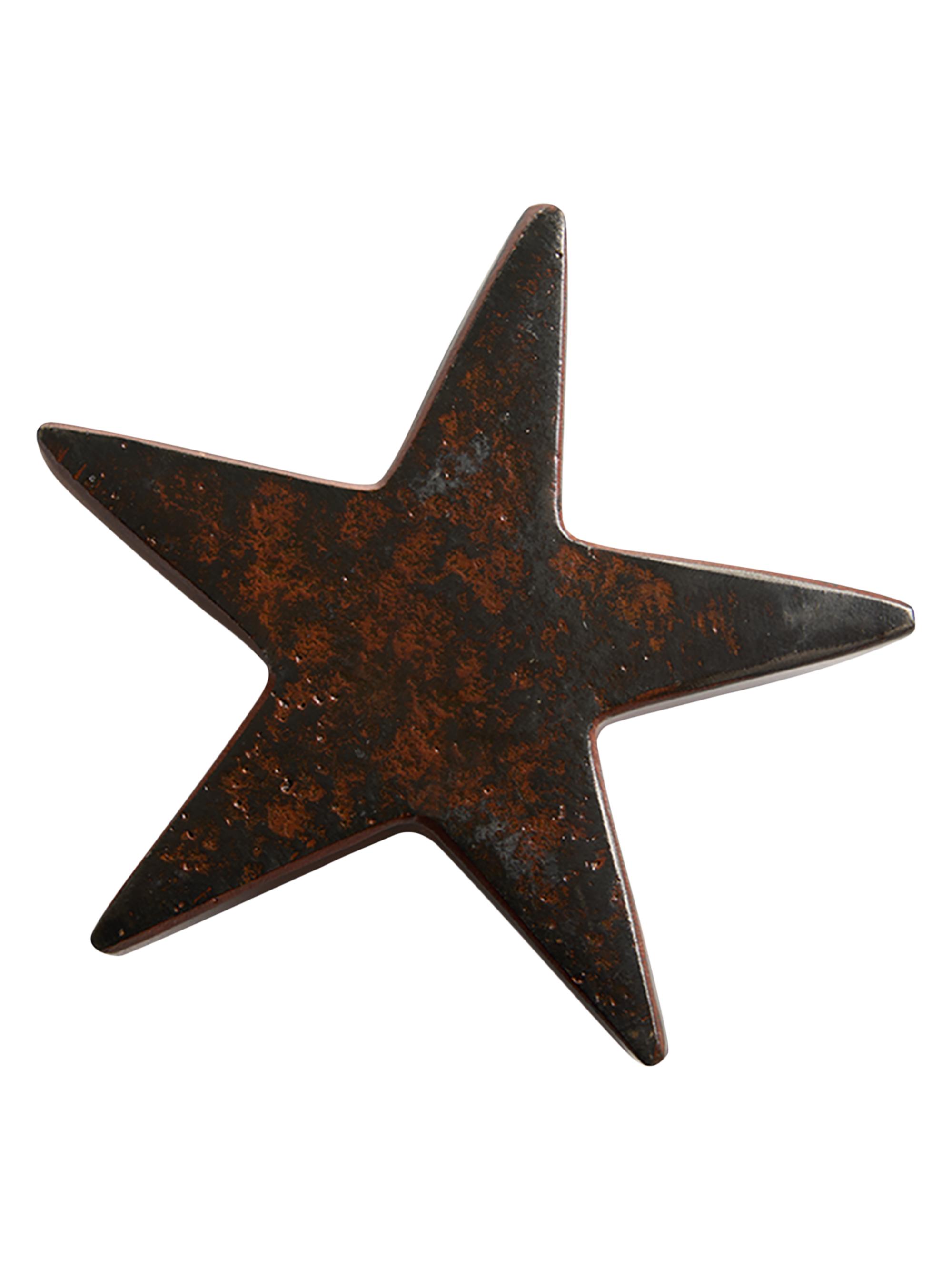 Jan Barboglio Estrella Star Cast Iron Decorative Object - Brown