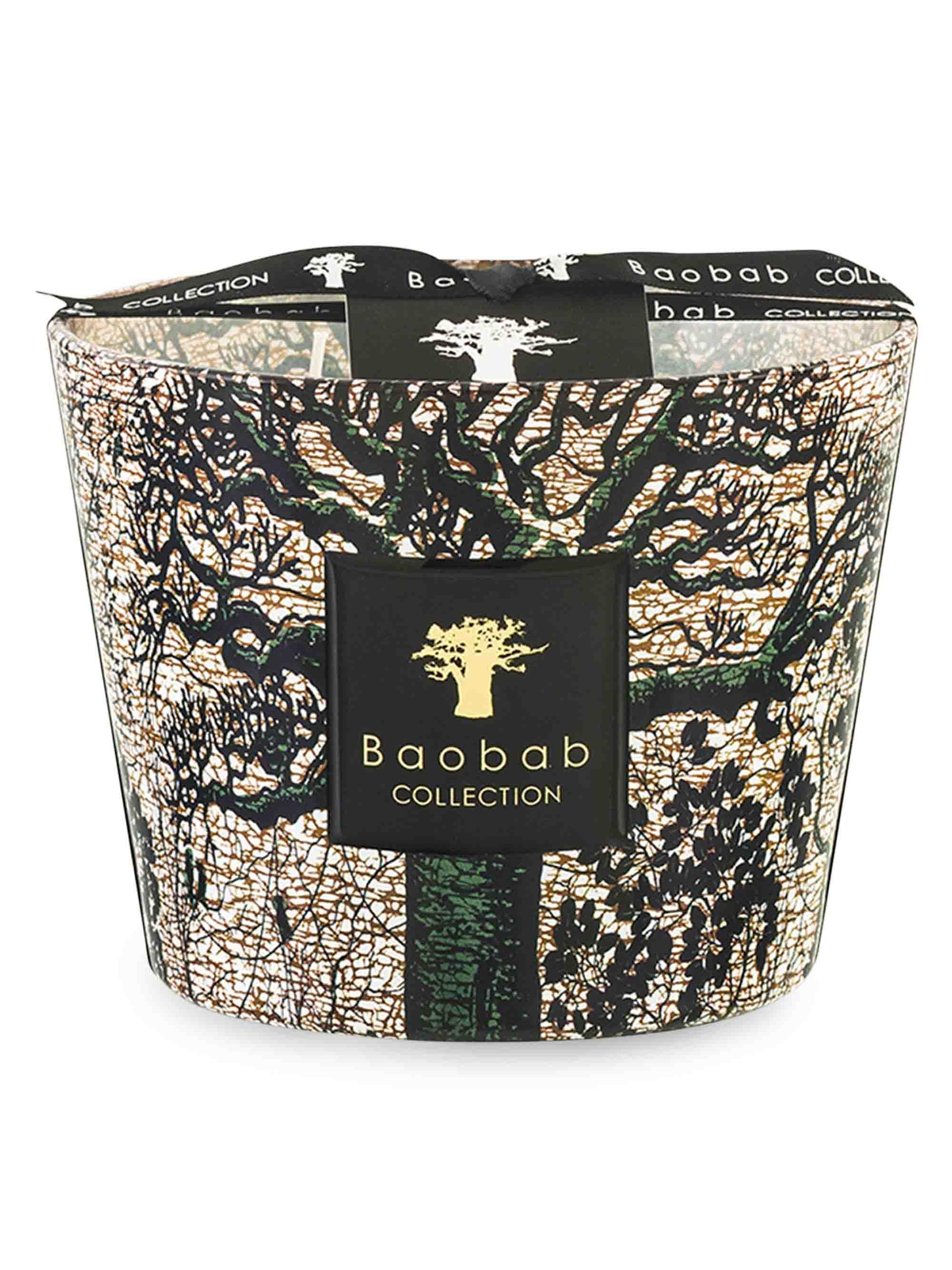 Baobab Collection Sacred Trees Kani 4-Wick Candle