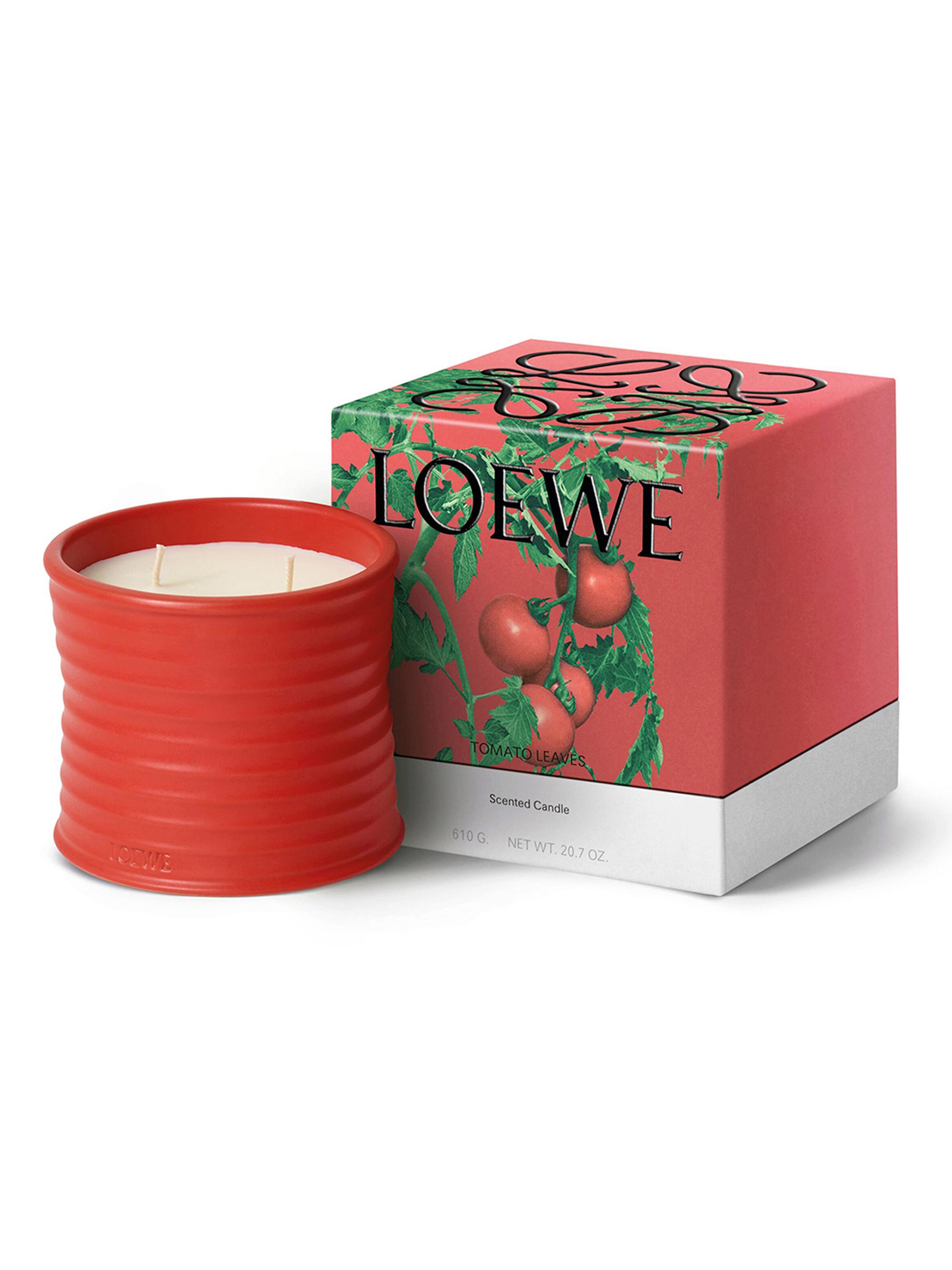 LOEWE Perfumes Tomato Leaves Scented Candle | Saks Fifth Avenue