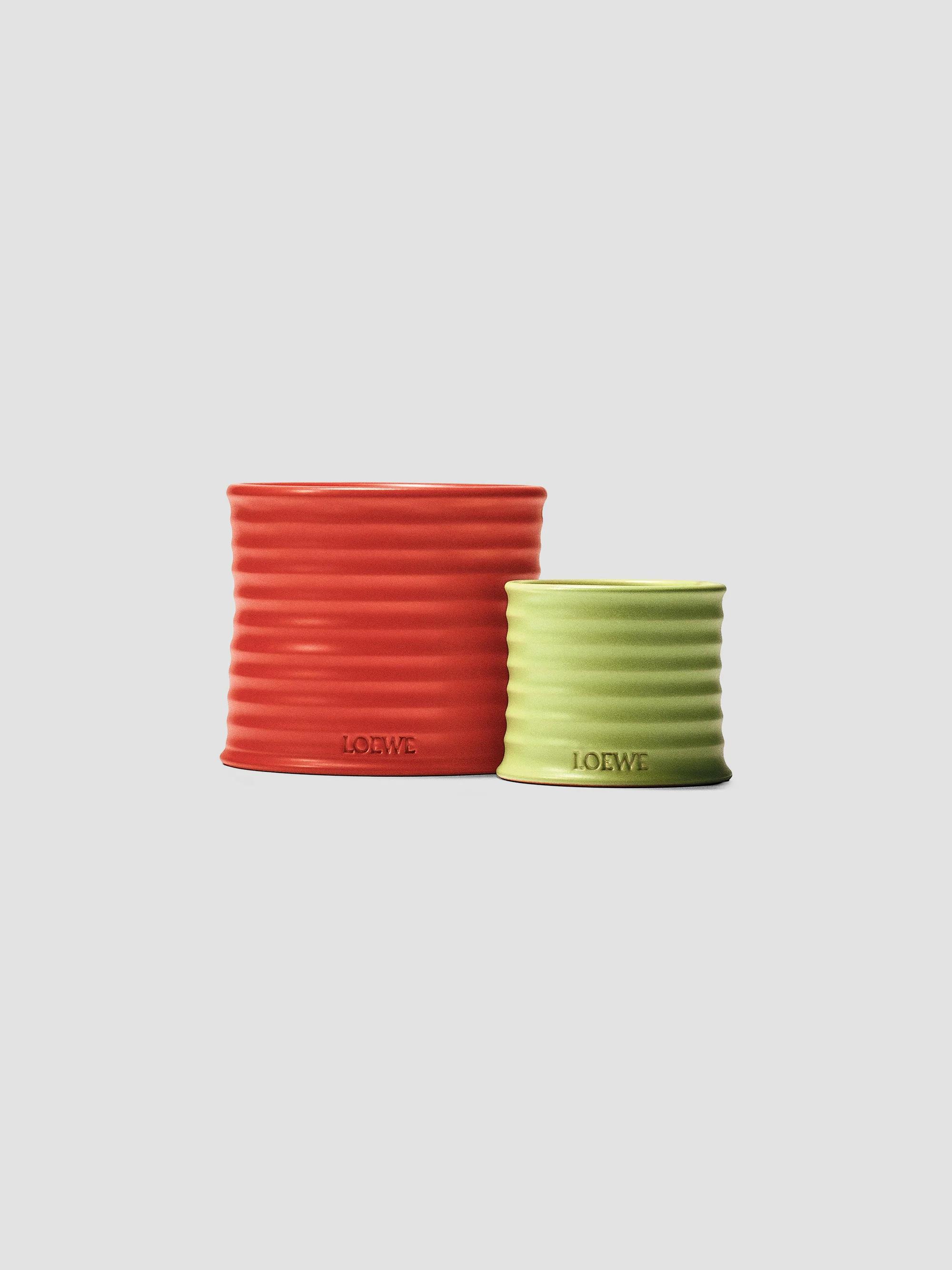 LOEWE Perfumes Tomato Leaves Scented Candle | Saks Fifth Avenue