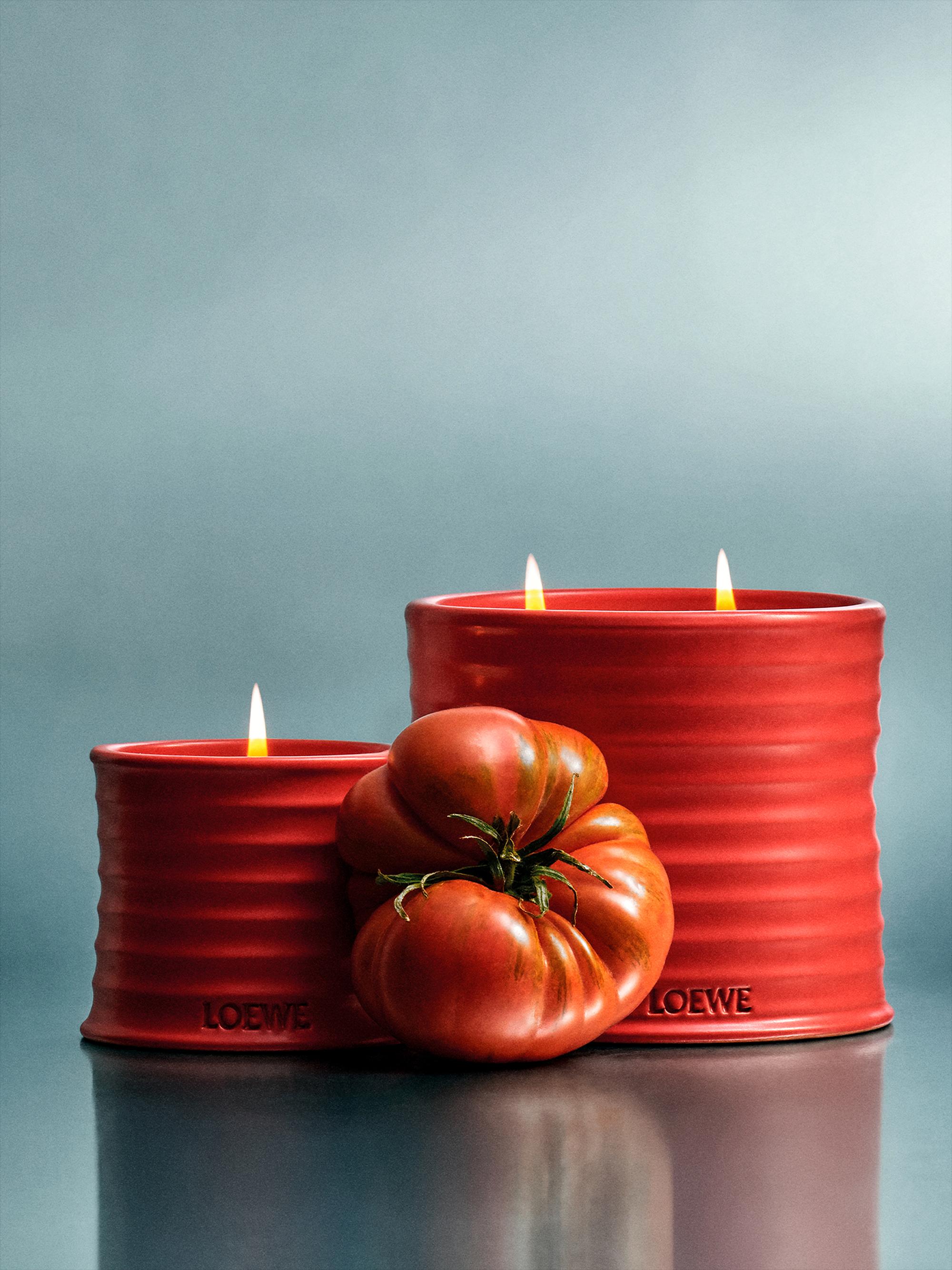 LOEWE Perfumes Tomato Leaves Scented Candle | Saks Fifth Avenue