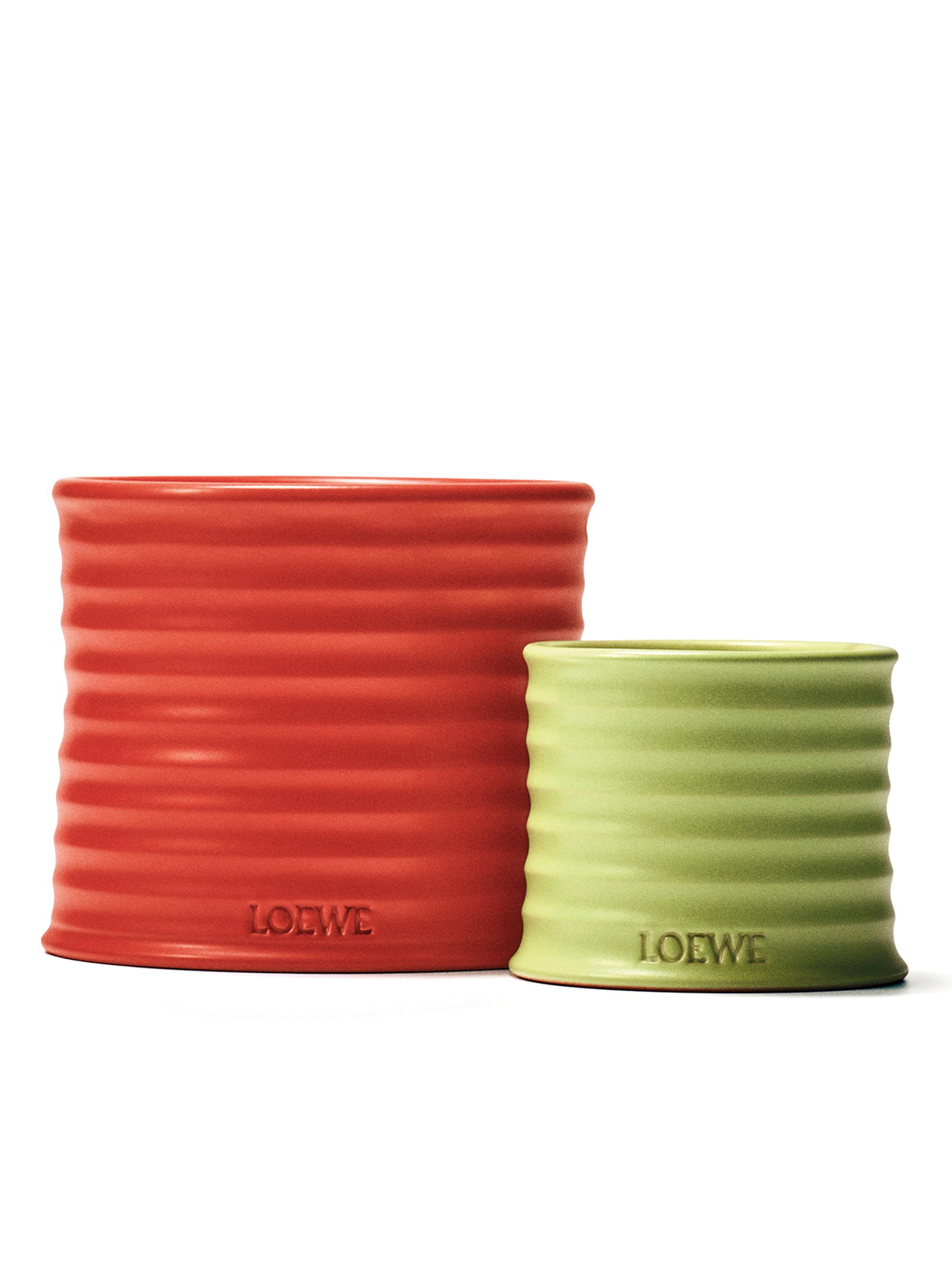 LOEWE Perfumes Tomato Leaves Scented Candle | Saks Fifth Avenue