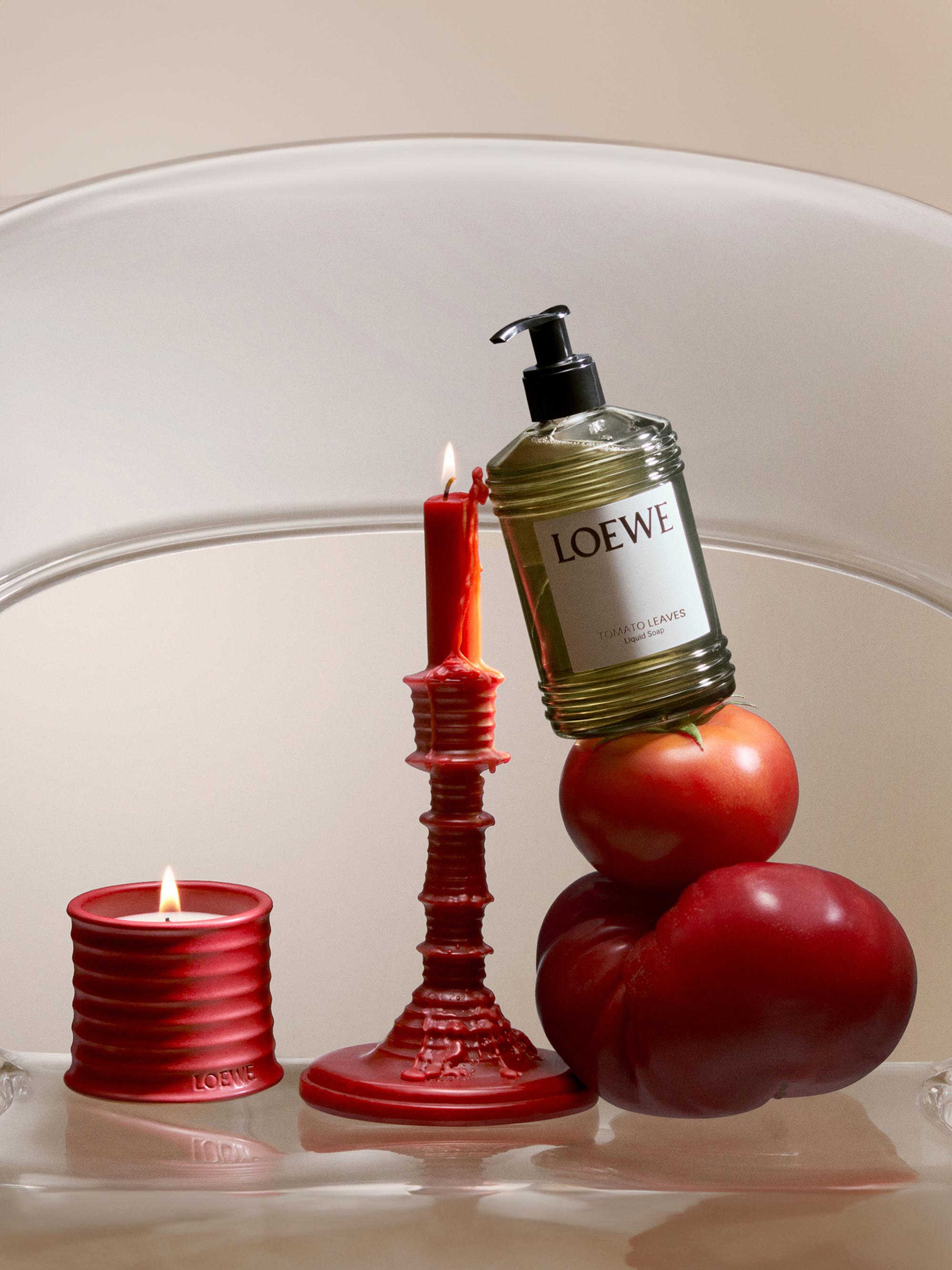 LOEWE Perfumes Tomato Leaves Scented Candle | Saks Fifth Avenue