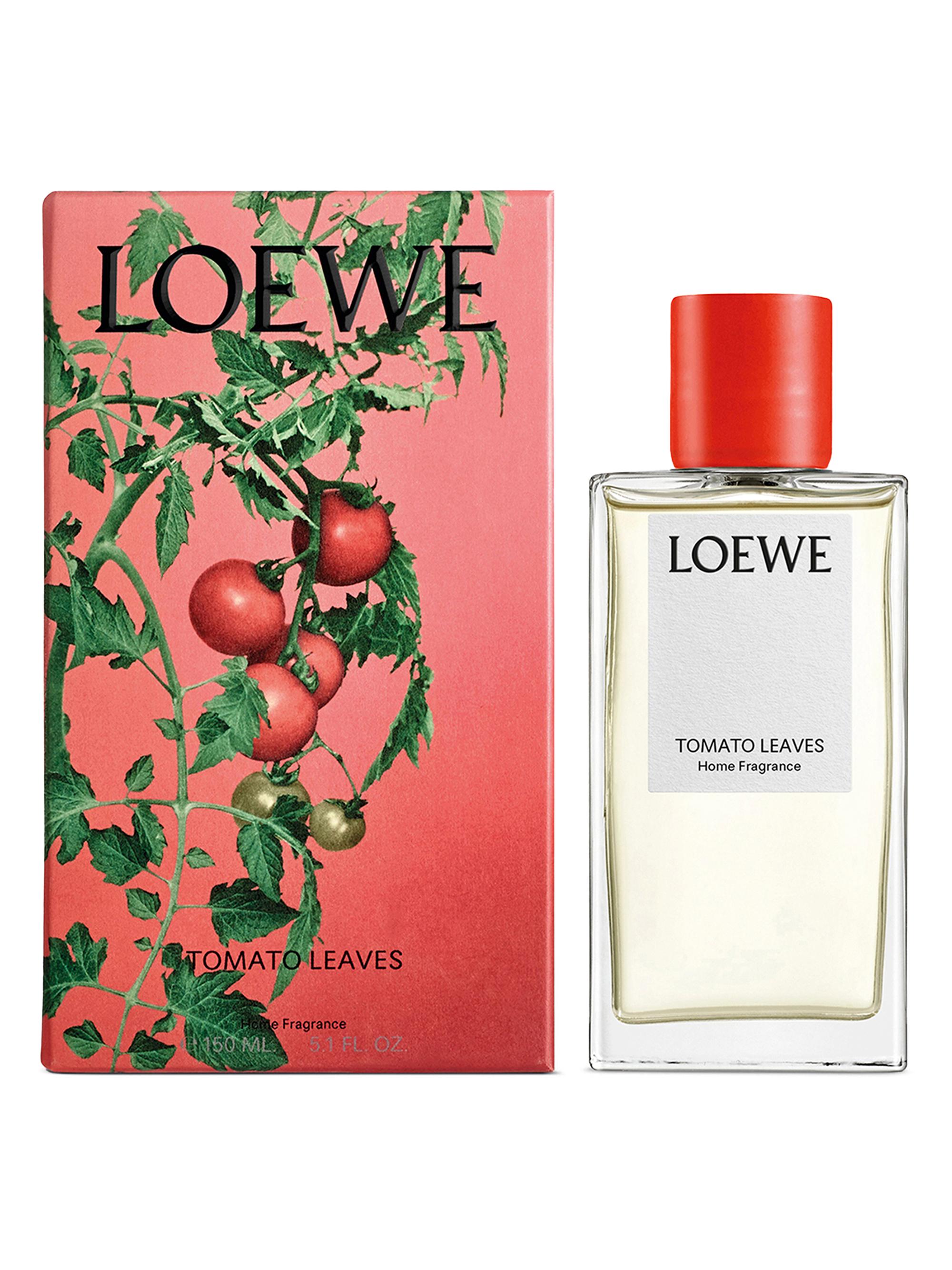 香水(ユニセックス) LOEWE TOMATO LEAVES  Fragrance 150ml LOEWE Perfumes Tomato Leaves Home Fragrance | Saks Fifth Avenue