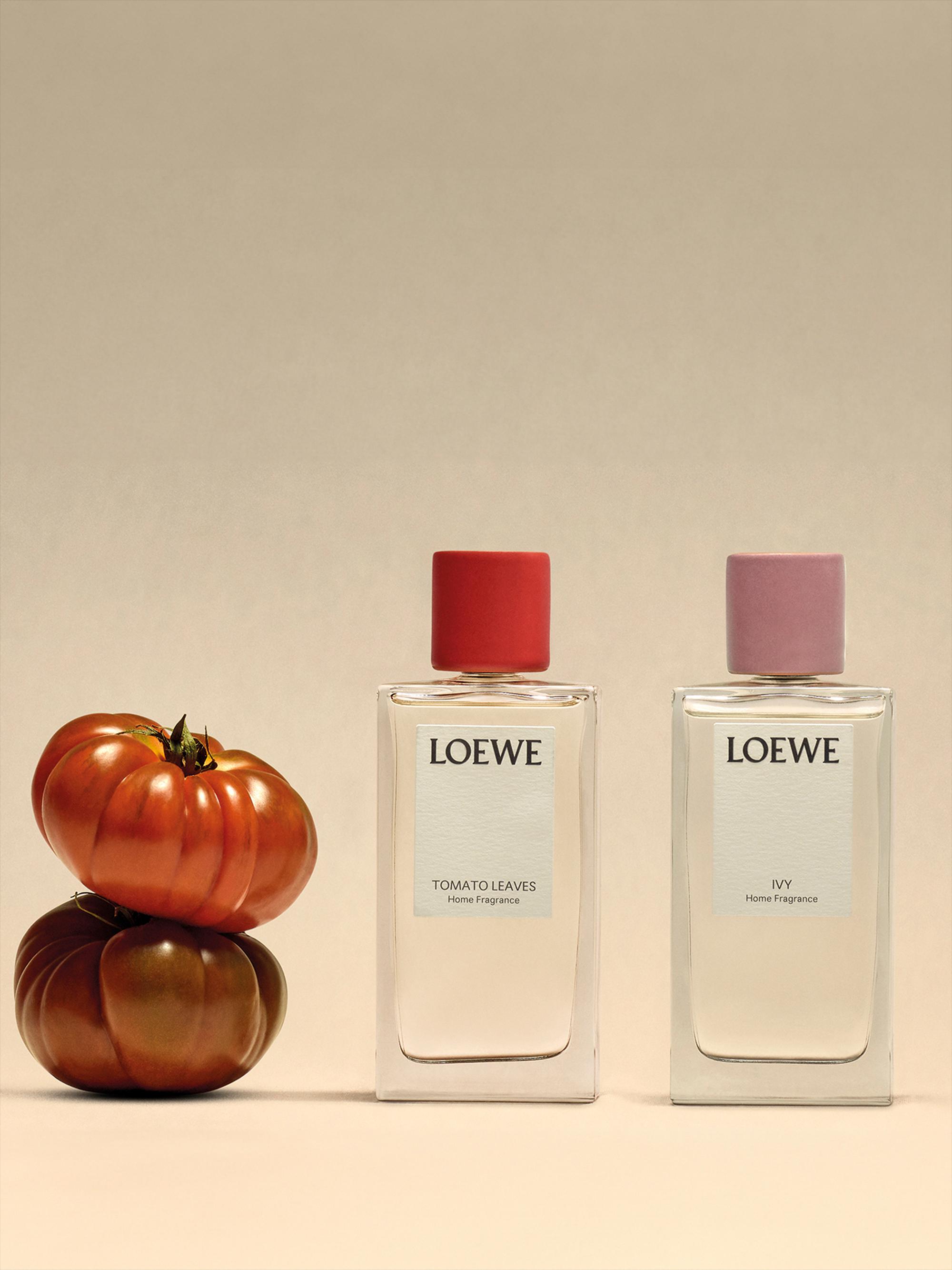 LOEWE Perfumes Tomato Leaves Home Fragrance | Saks Fifth Avenue