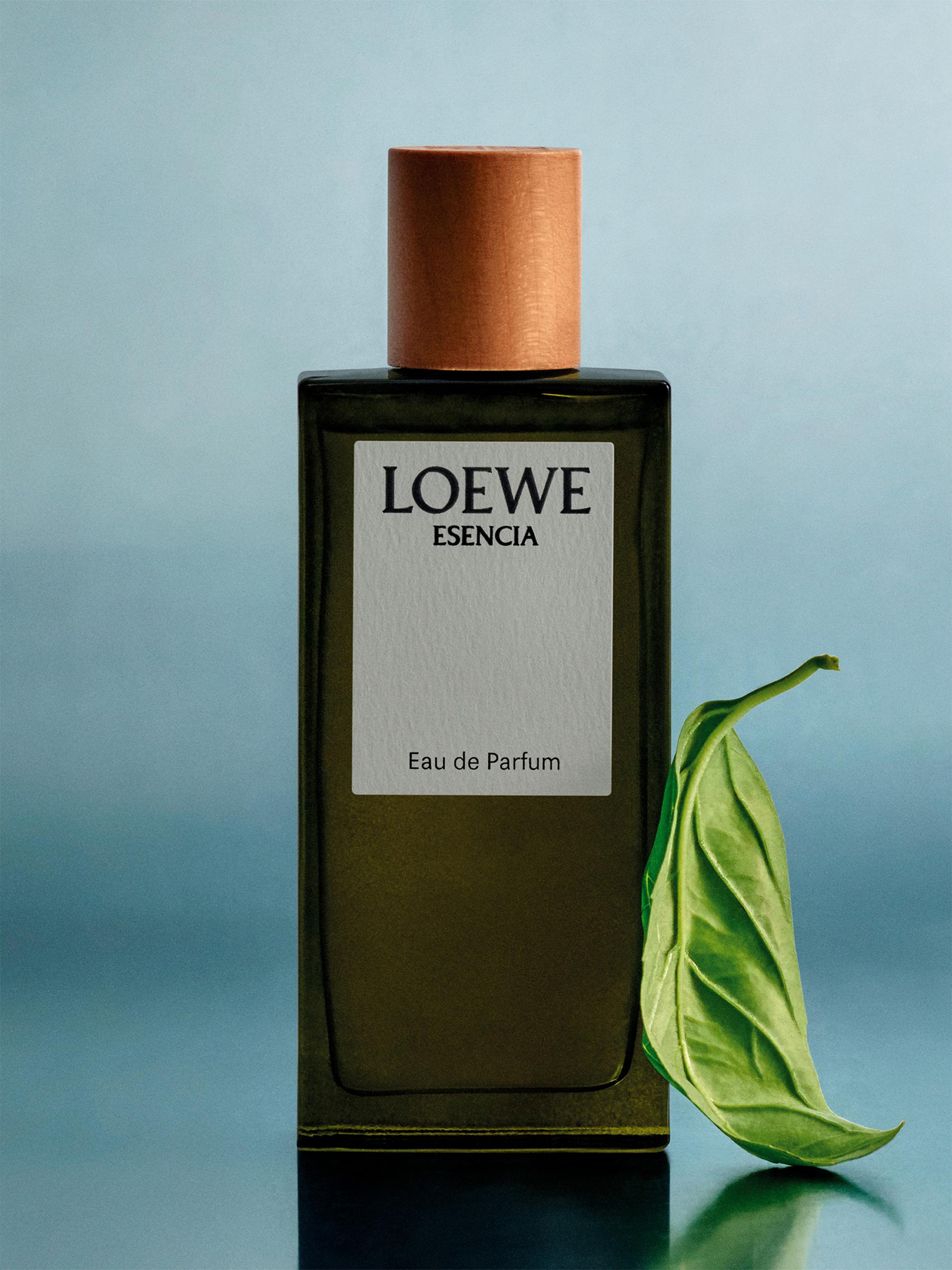 LOEWE Perfumes Esencia Eau De Parfum | Saks Fifth Avenue