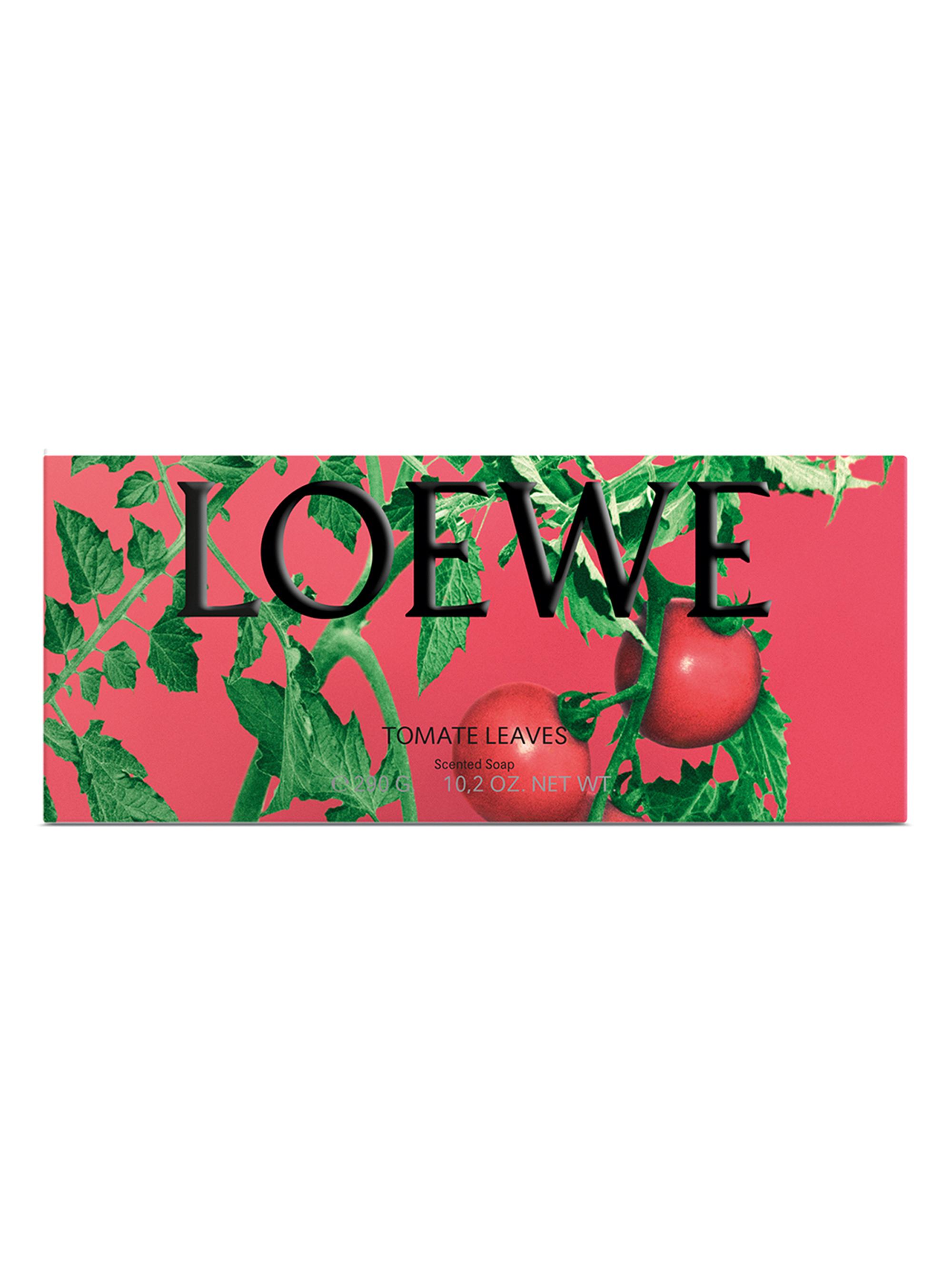 LOEWE Perfumes Tomato Leaves Solid Soap | Saks Fifth Avenue