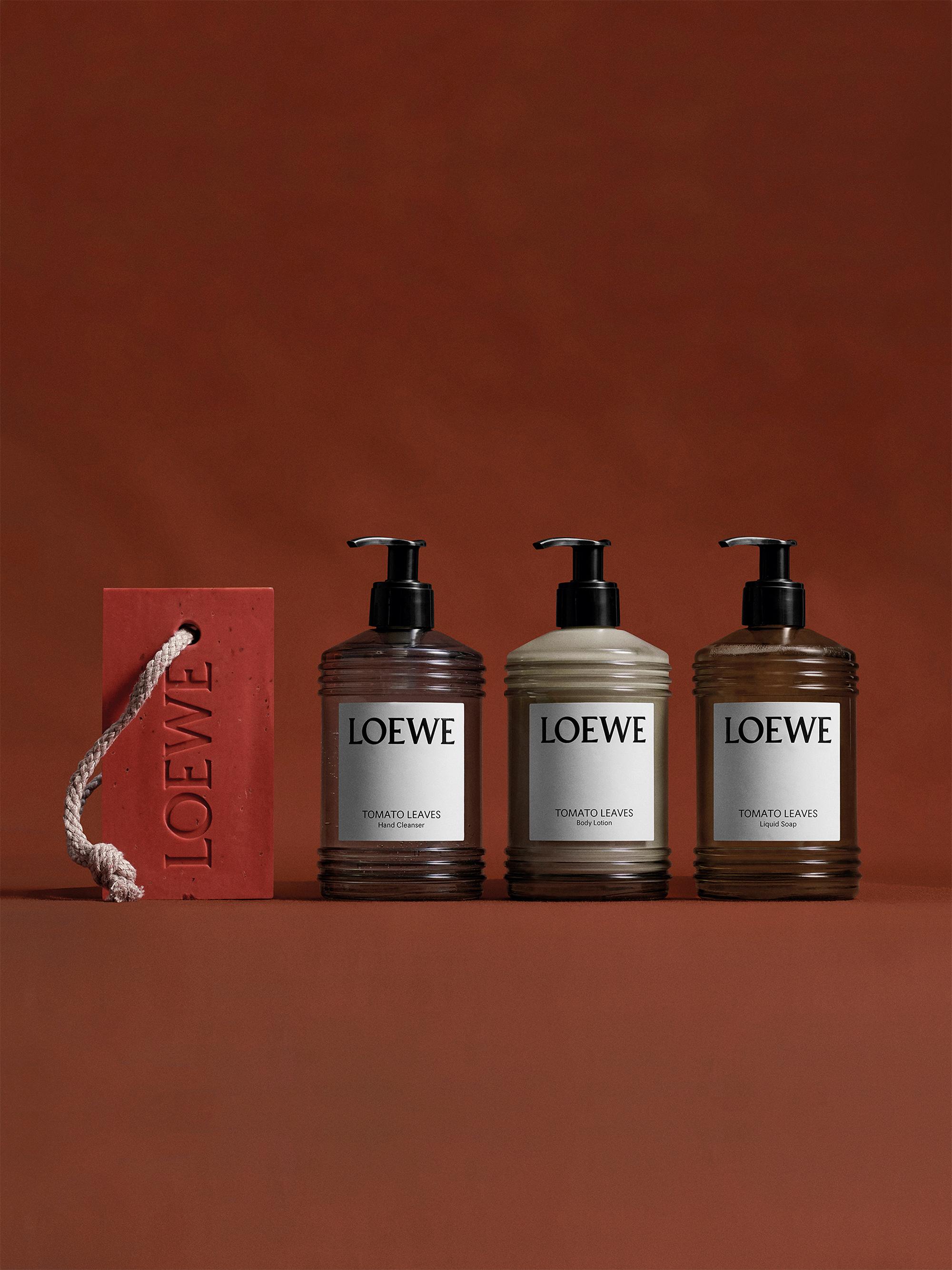 LOEWE Perfumes Tomato Leaves Solid Soap | Saks Fifth Avenue
