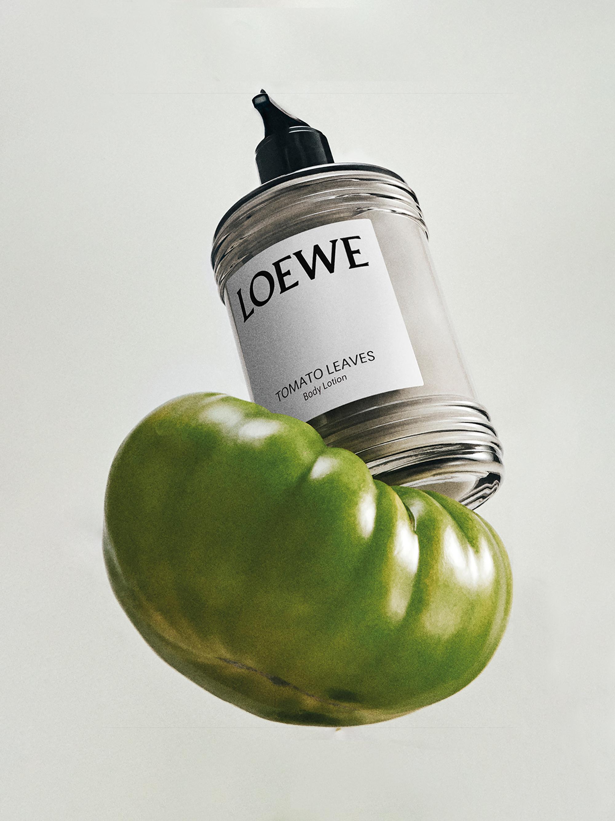 LOEWE Perfumes Tomato Leaves Body Lotion | Saks Fifth Avenue