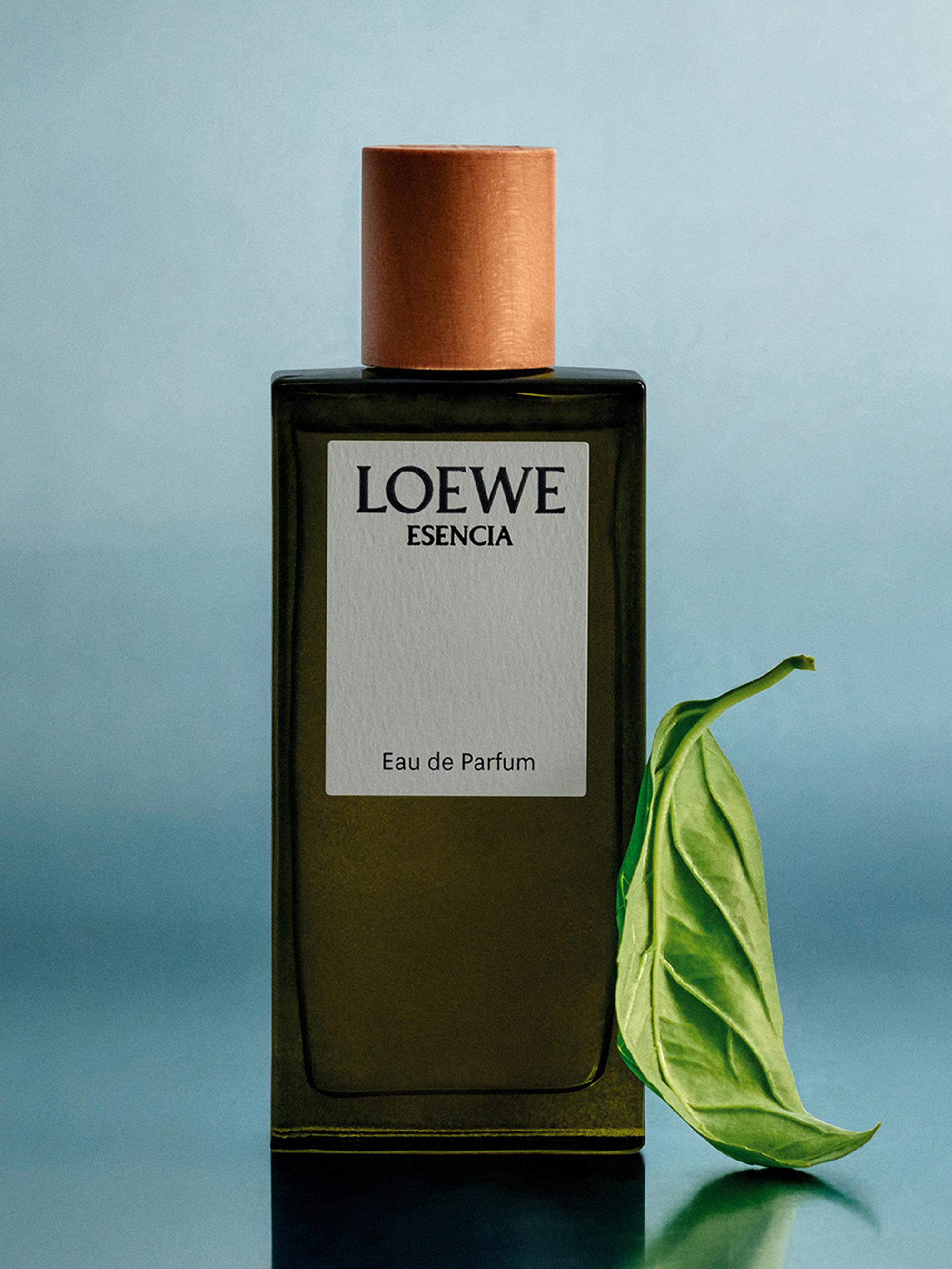 LOEWE Esencia & 7 Cobalt Eau de Parfum Set | Saks Fifth Avenue
