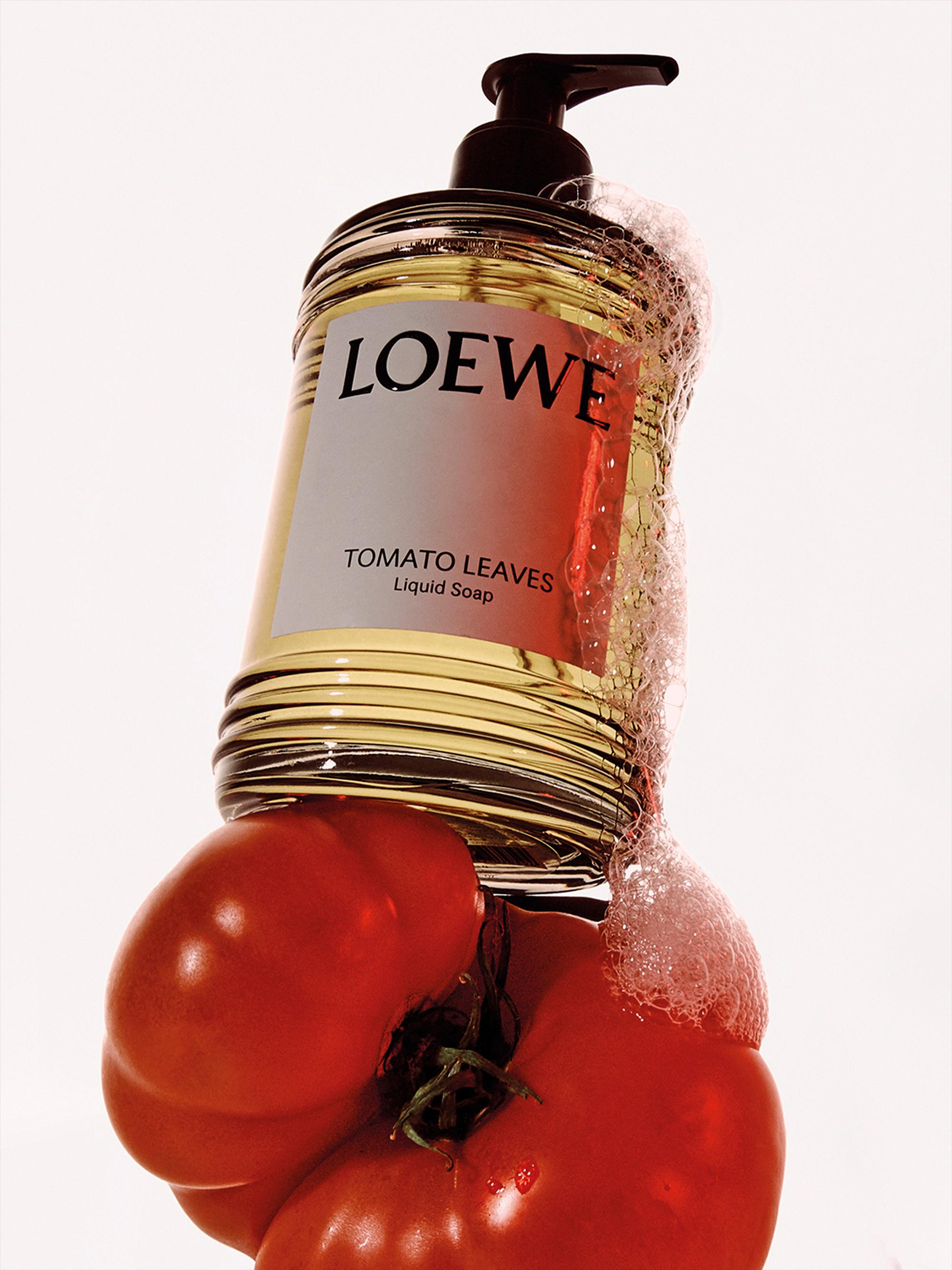 LOEWE Perfumes Tomato Leaves Liquid Soap | Saks Fifth Avenue