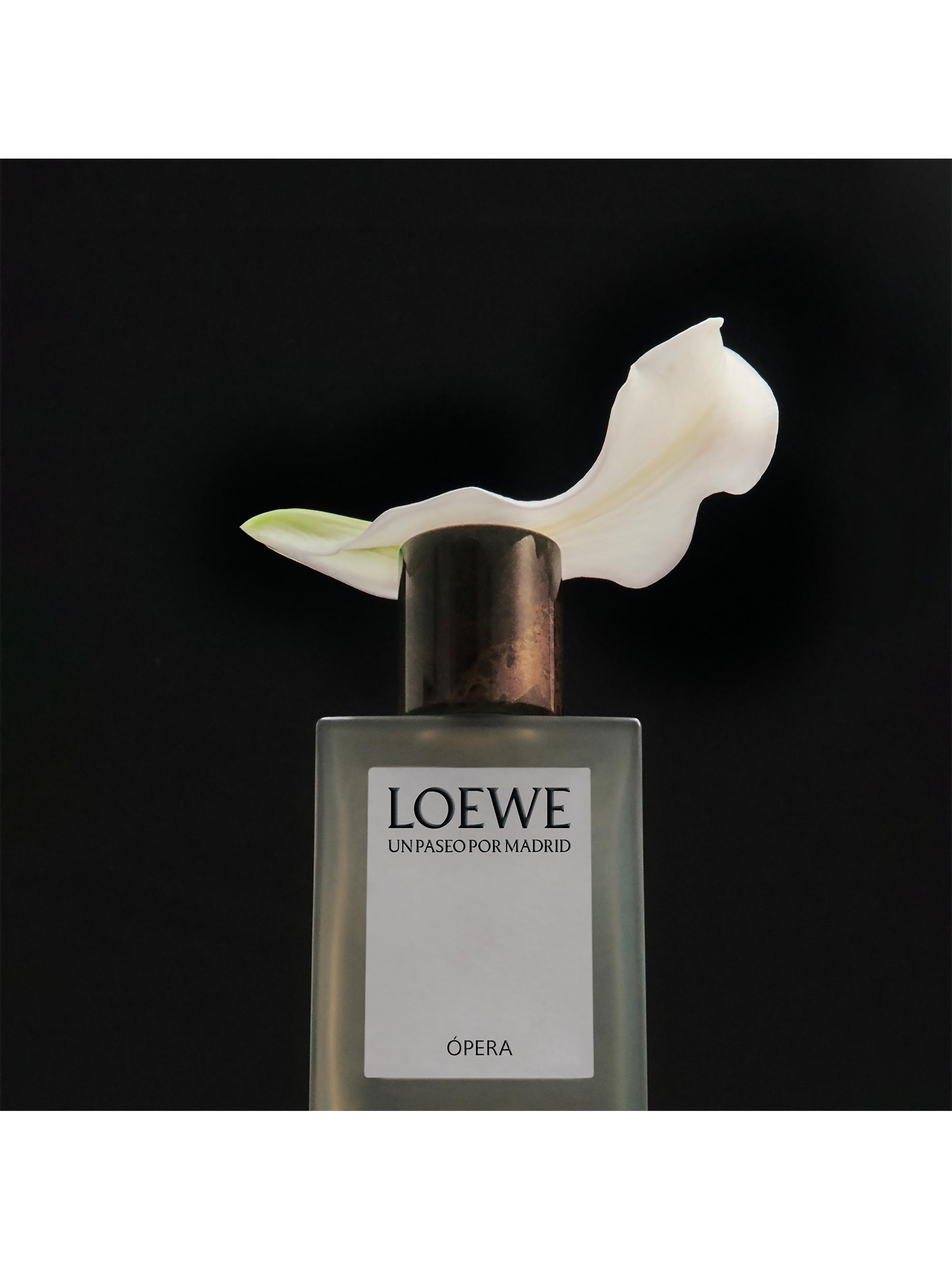 LOEWE ÓPERA 香水 専用パッケージ付き LOEWE Perfumes Opera Eau De Parfum | Saks Fifth Avenue
