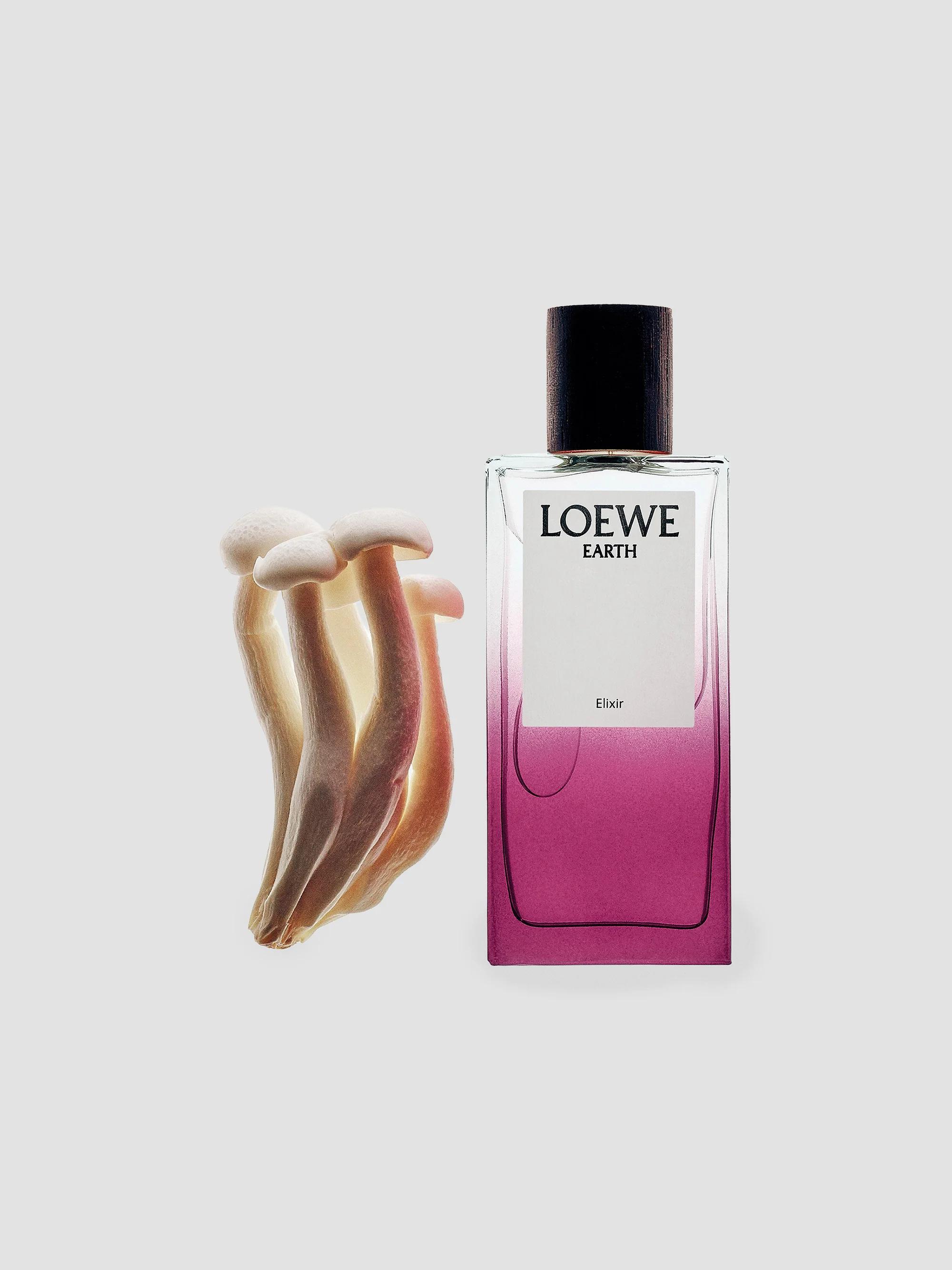 LOEWE Perfumes Earth Elixir Eau De Parfum | Saks Fifth Avenue