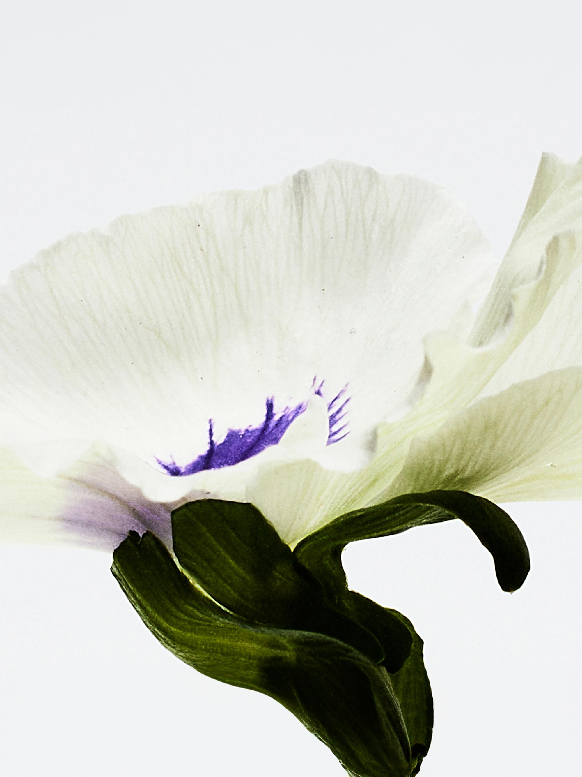 LOEWE Perfumes Agua Drop Eau De Parfum | Saks Fifth Avenue