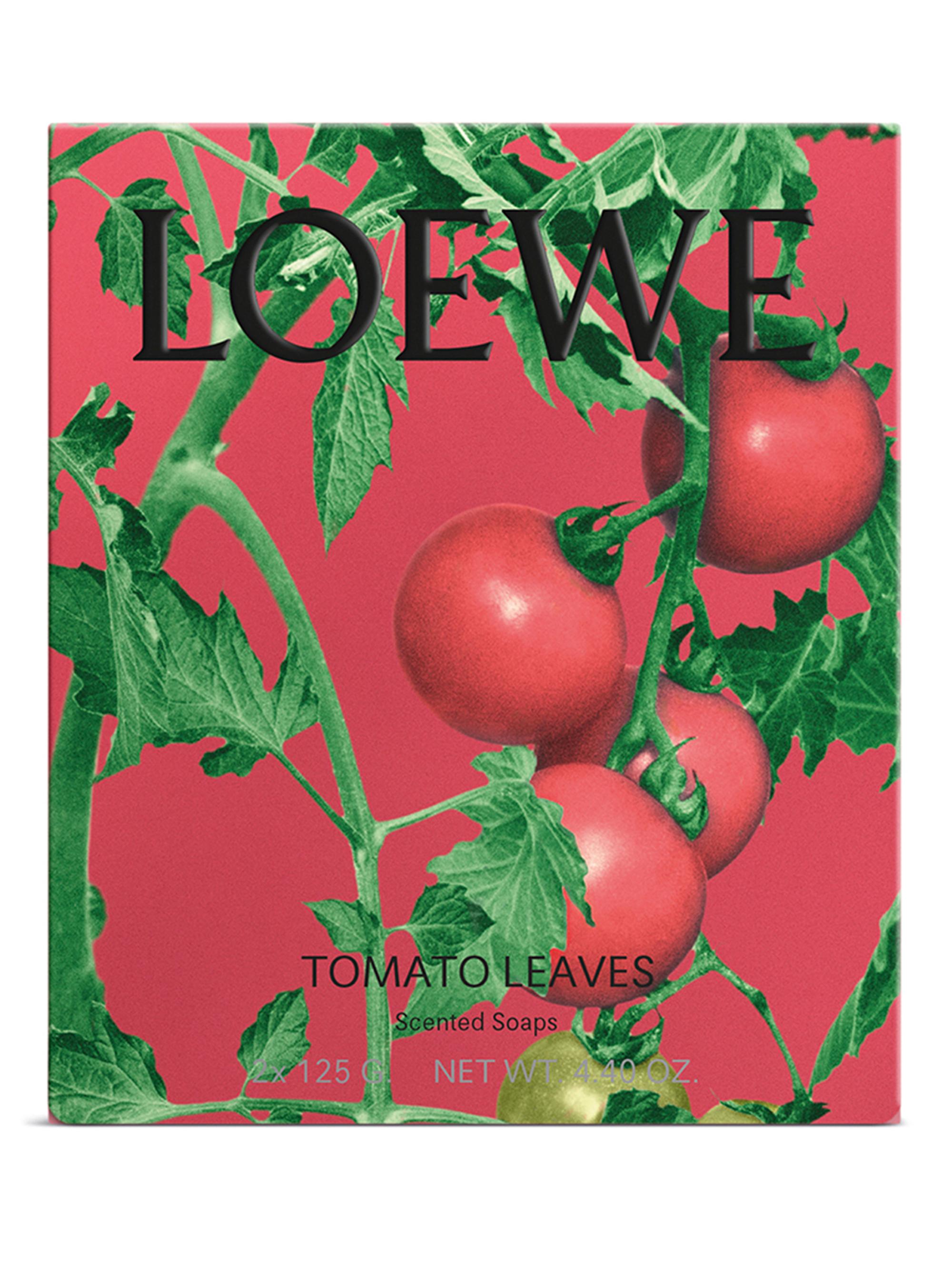 LOEWE Perfumes Tomato Leaves Solid Soap Duo Set | Saks Fifth Avenue