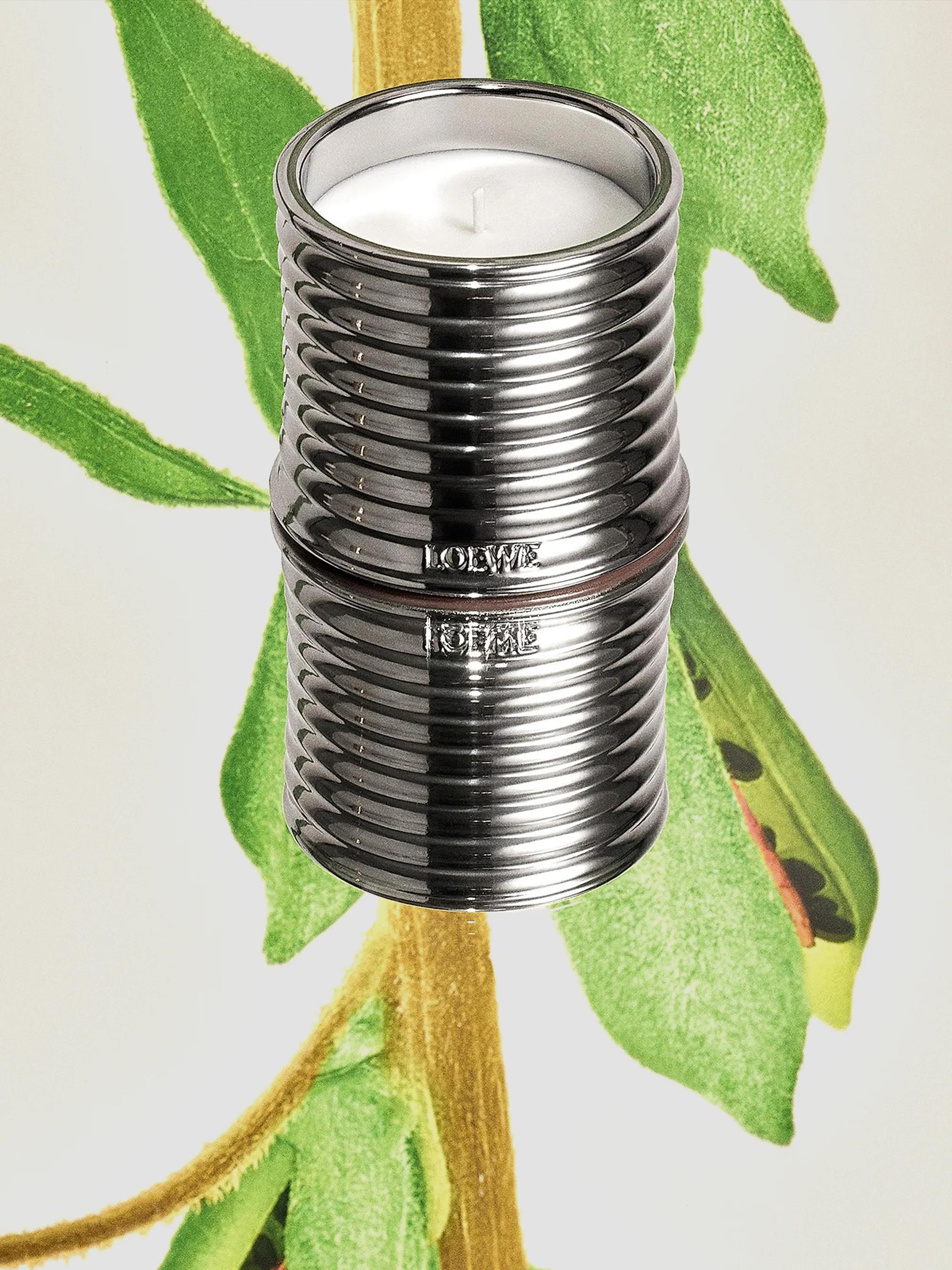 LOEWE Perfumes LOEWE Black Sesame Scented Candle | Saks Fifth Avenue