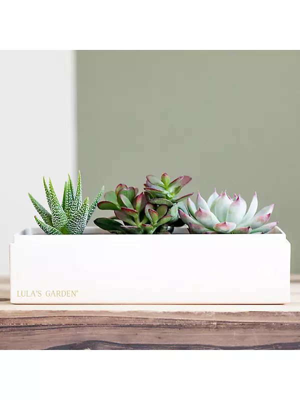 Best Housewarming Gift 2022, Lula's Garden Gift Set