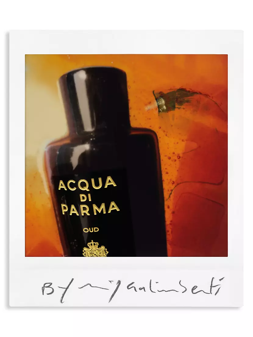 Acqua Di Parma Oud Eau de Parfum Spray 3.4 oz (100 ml) 8028713810510 -  Fragrances & Beauty, Oud Eau de Parfum - Jomashop