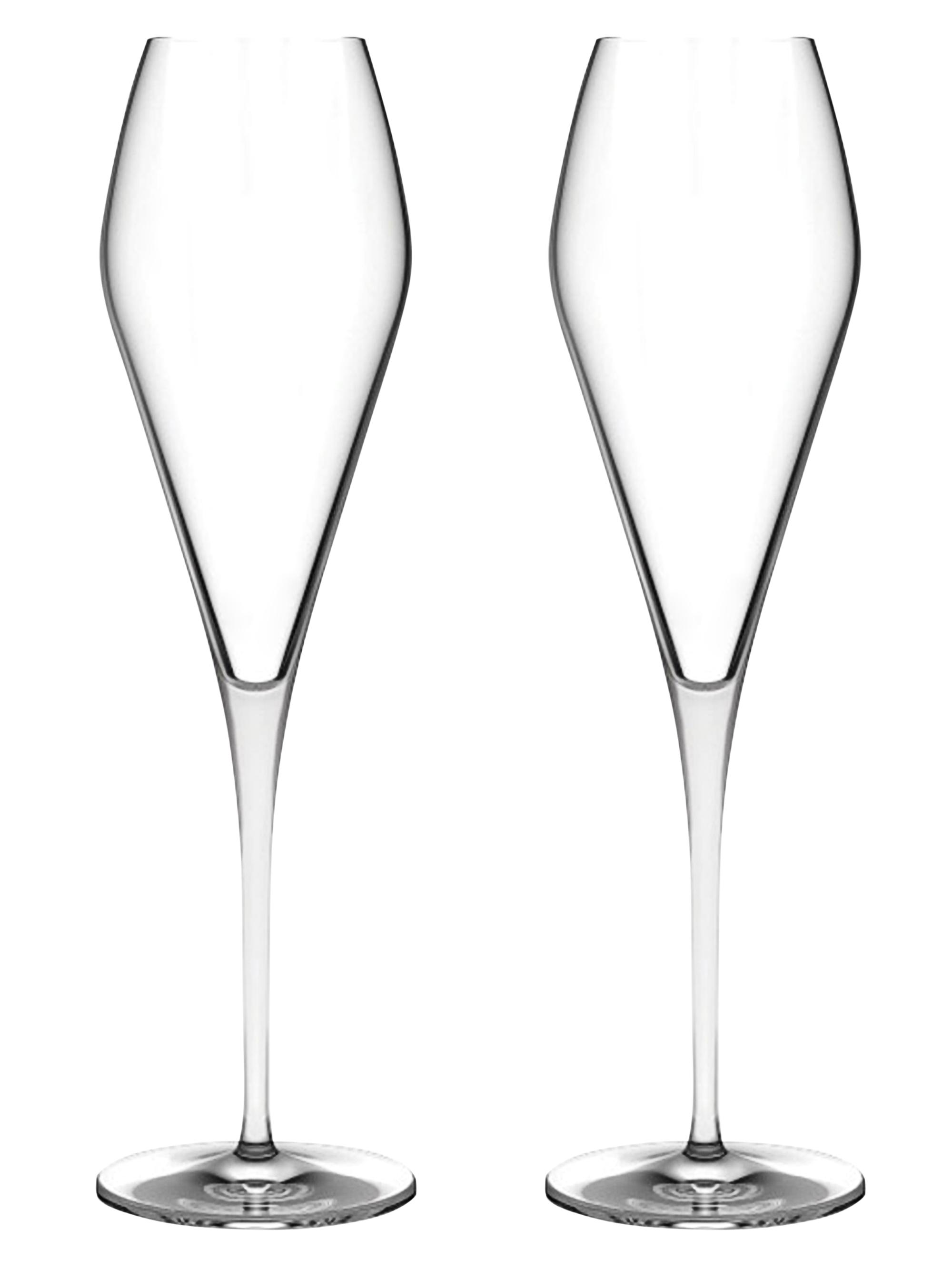 Nude Glass Fantasy Set of 2 Champagne Glasses