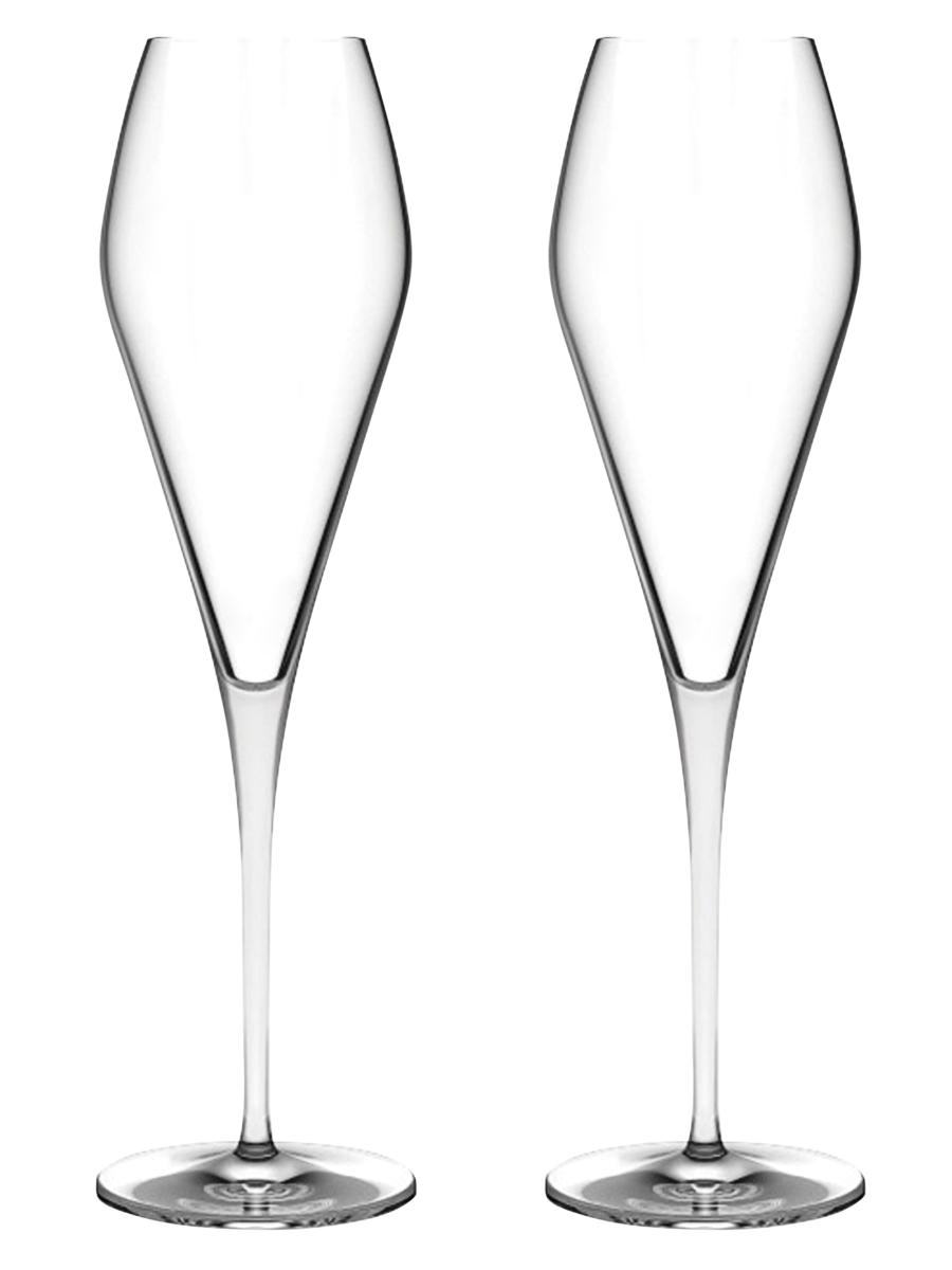 Nude Glass Fantasy Set of 2 Champagne Glasses | Saks Fifth Avenue