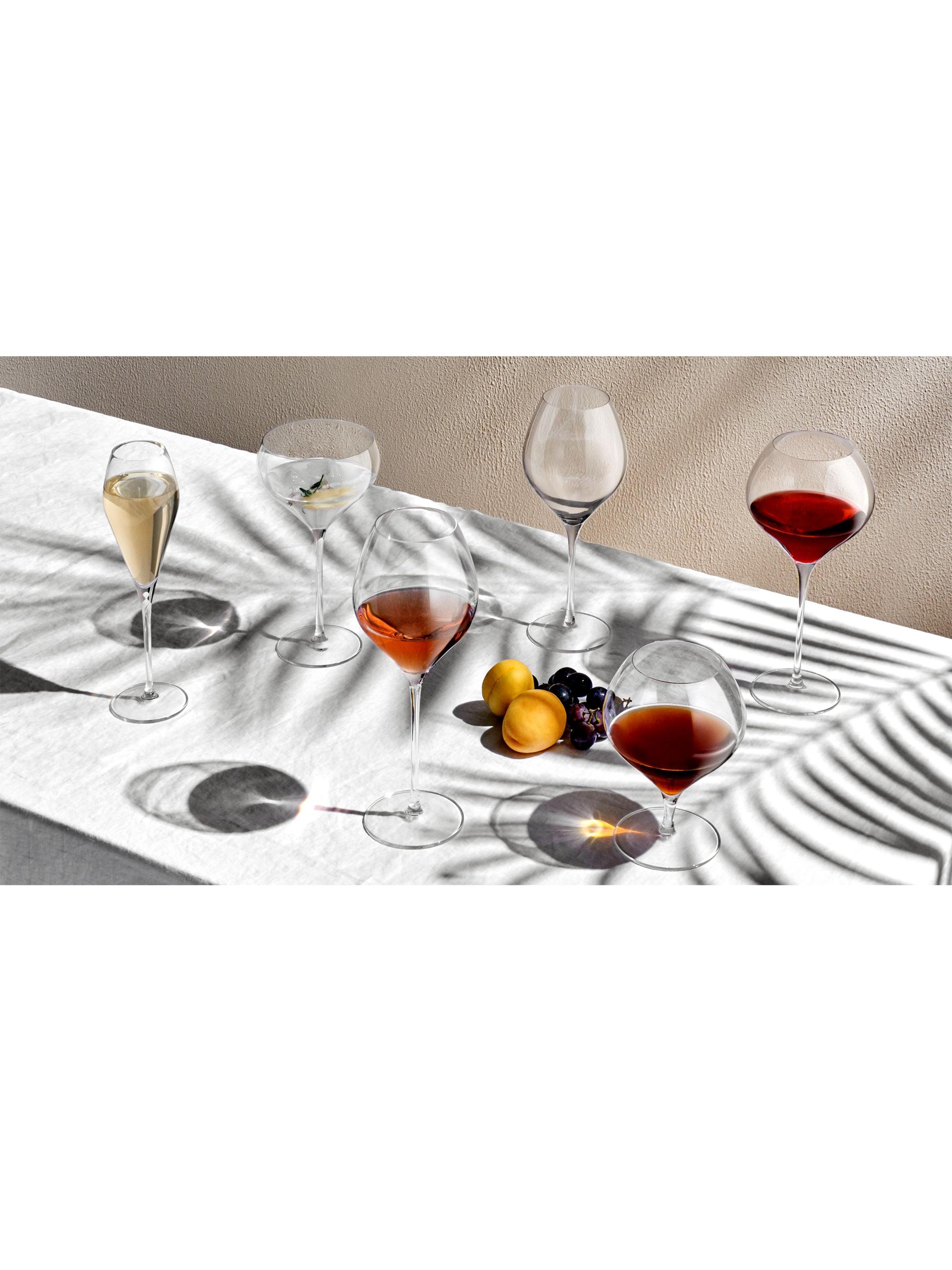 Nude Glass Fantasy 2-Piece Long Stem White Wine Glass Set | Wo...