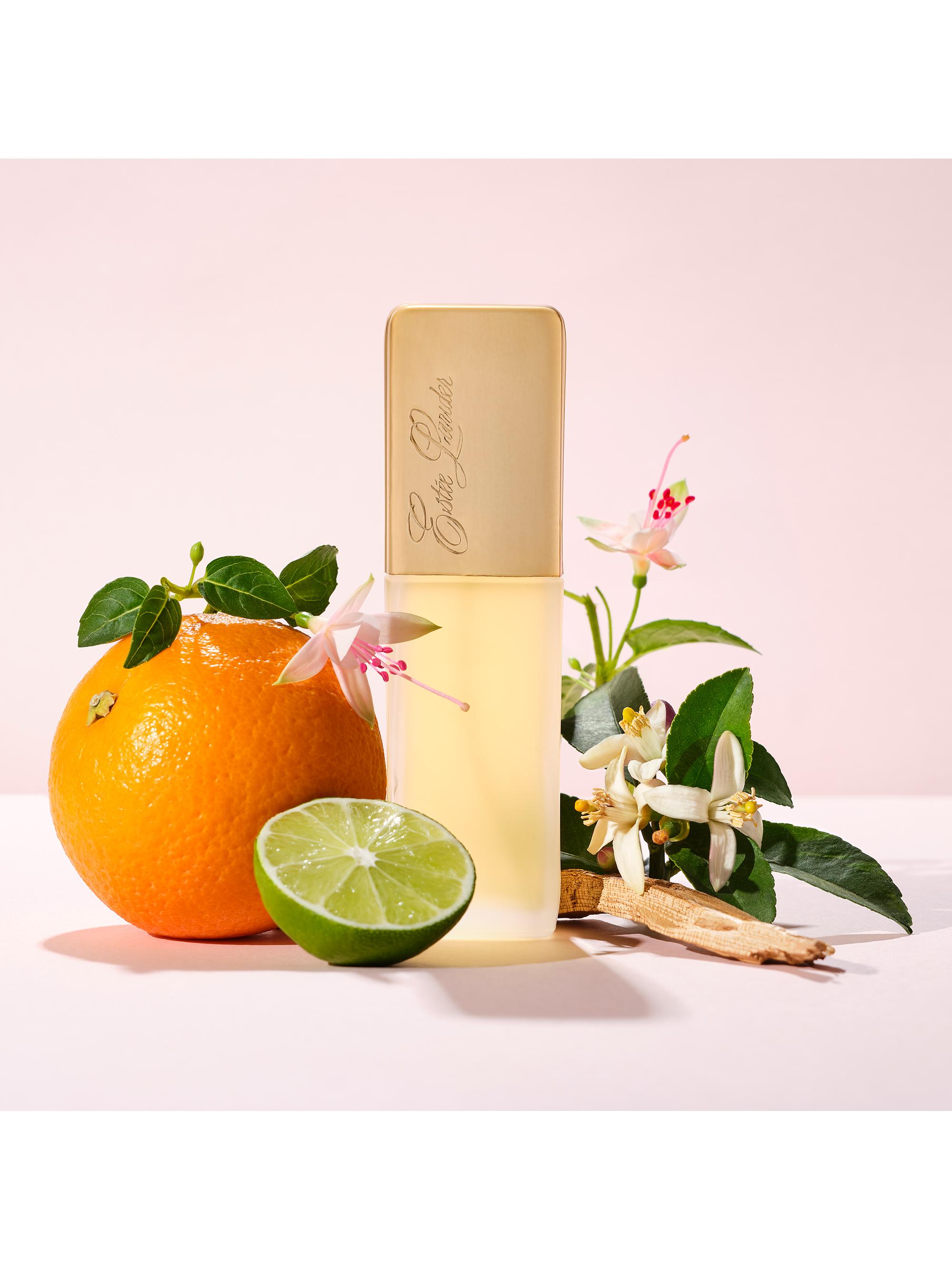 Estée Lauder Private Collection Estee Lauder Eau De Private