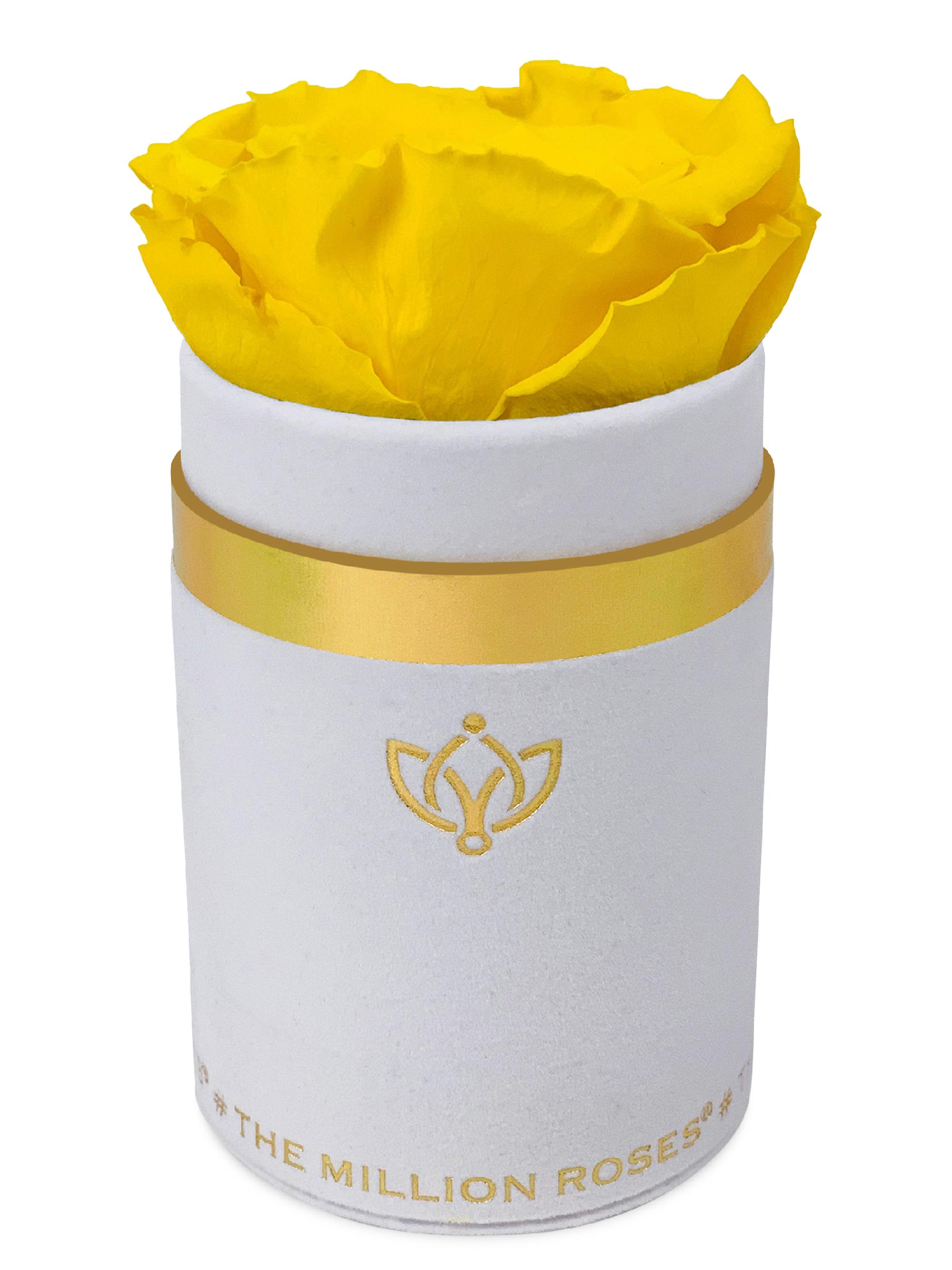 The Million Roses Single Rose In A Rose-Print Box - Yellow