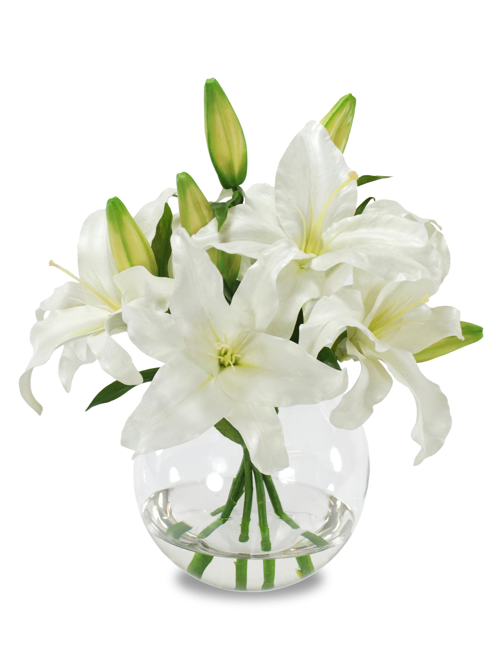 Winward Home Everyday Floral Imitation Casablanca Lily In Glass Vase