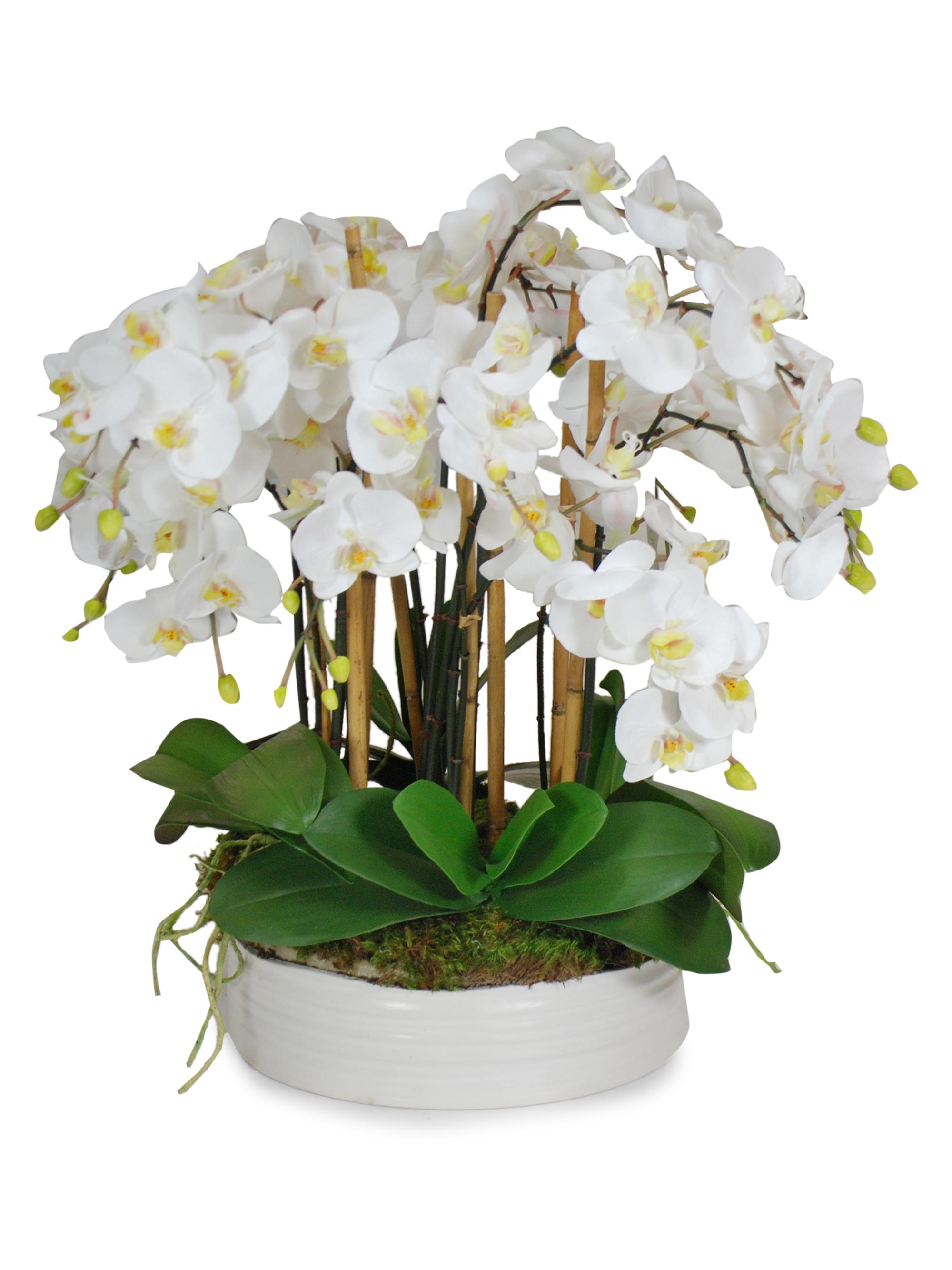 Everyday Floral Imitation Orchids In Coil Ceramic Bowl