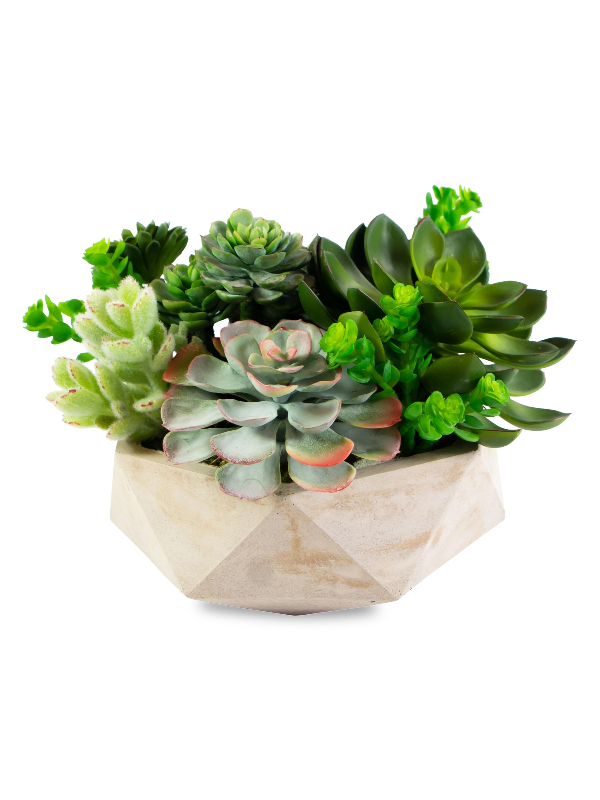 Winward Home Everyday Floral Mix Succulent In Hexagon Vase