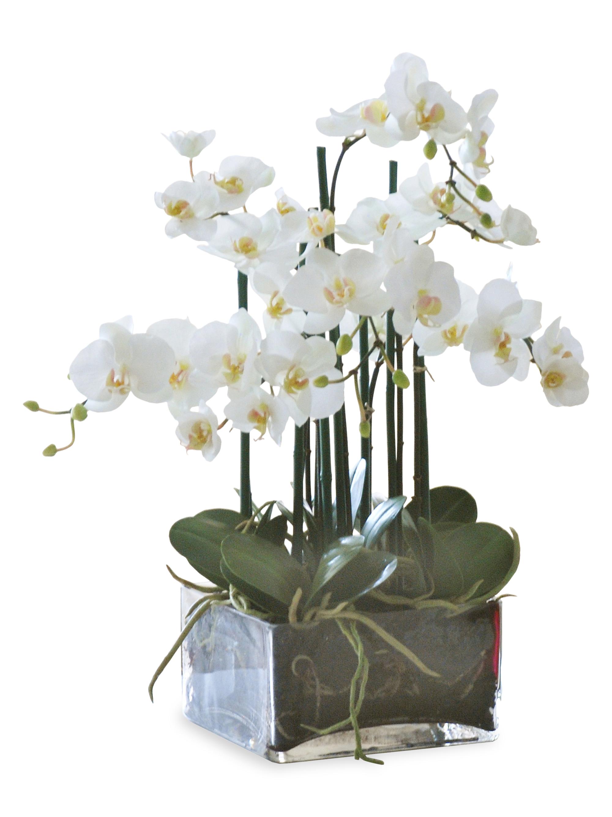 Winward Home Everyday Floral Imitation Phalaenopsis In Square Vase