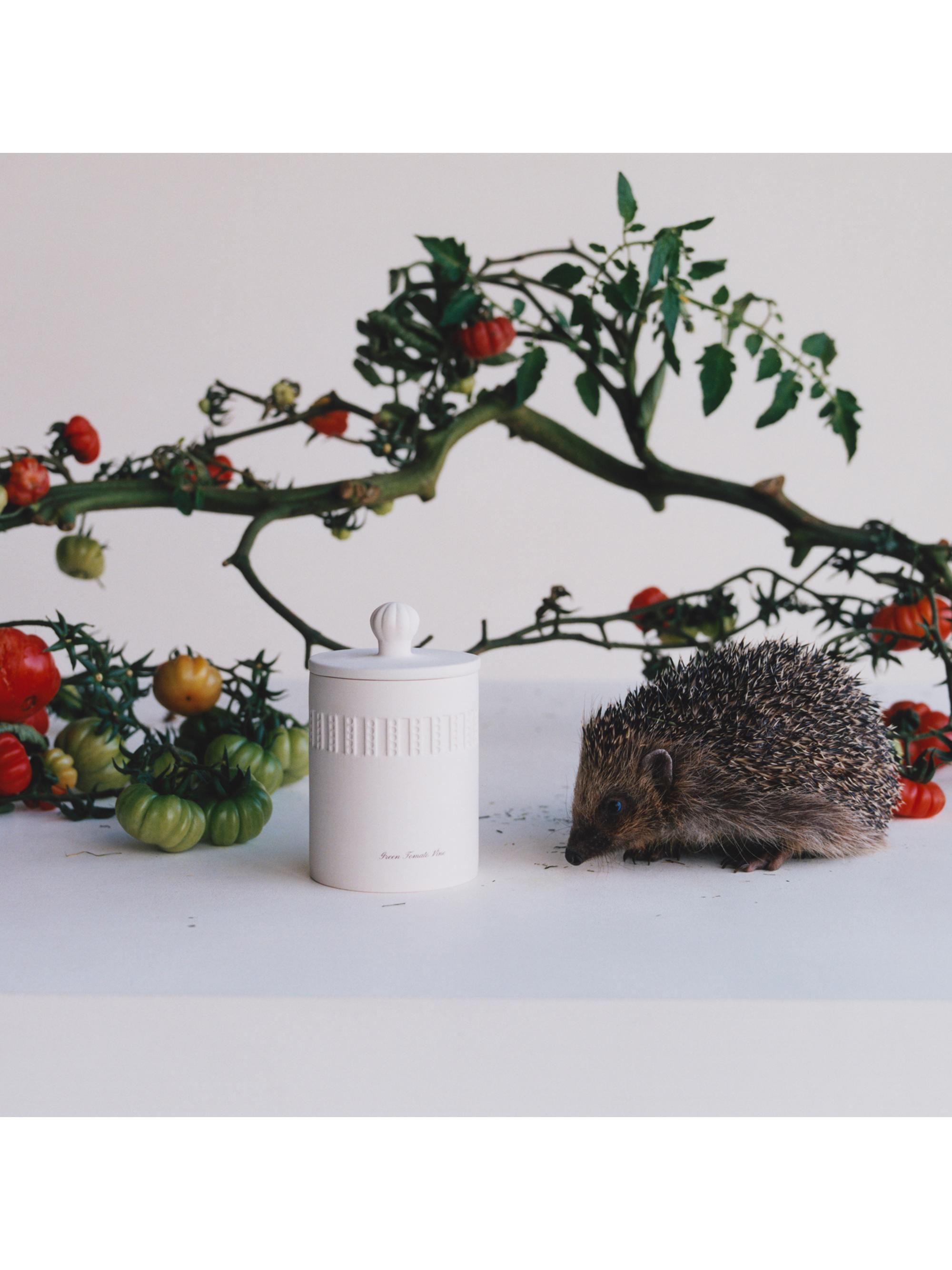 Jo Malone London Townhouse Green Tomato Vine Scented Candle | Saks