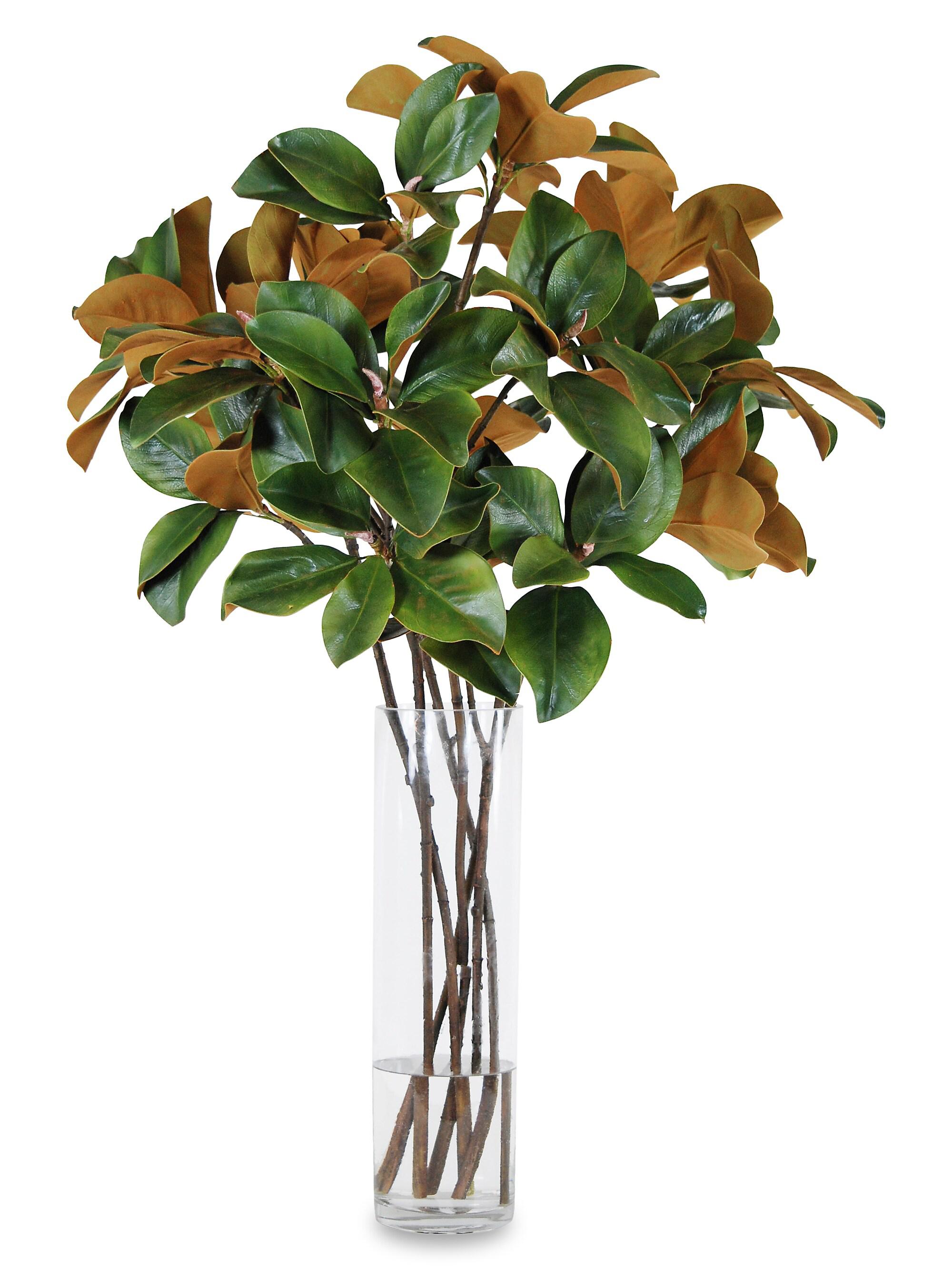 Everyday Imitation Magnolia Leaf Florals In Glass Vase