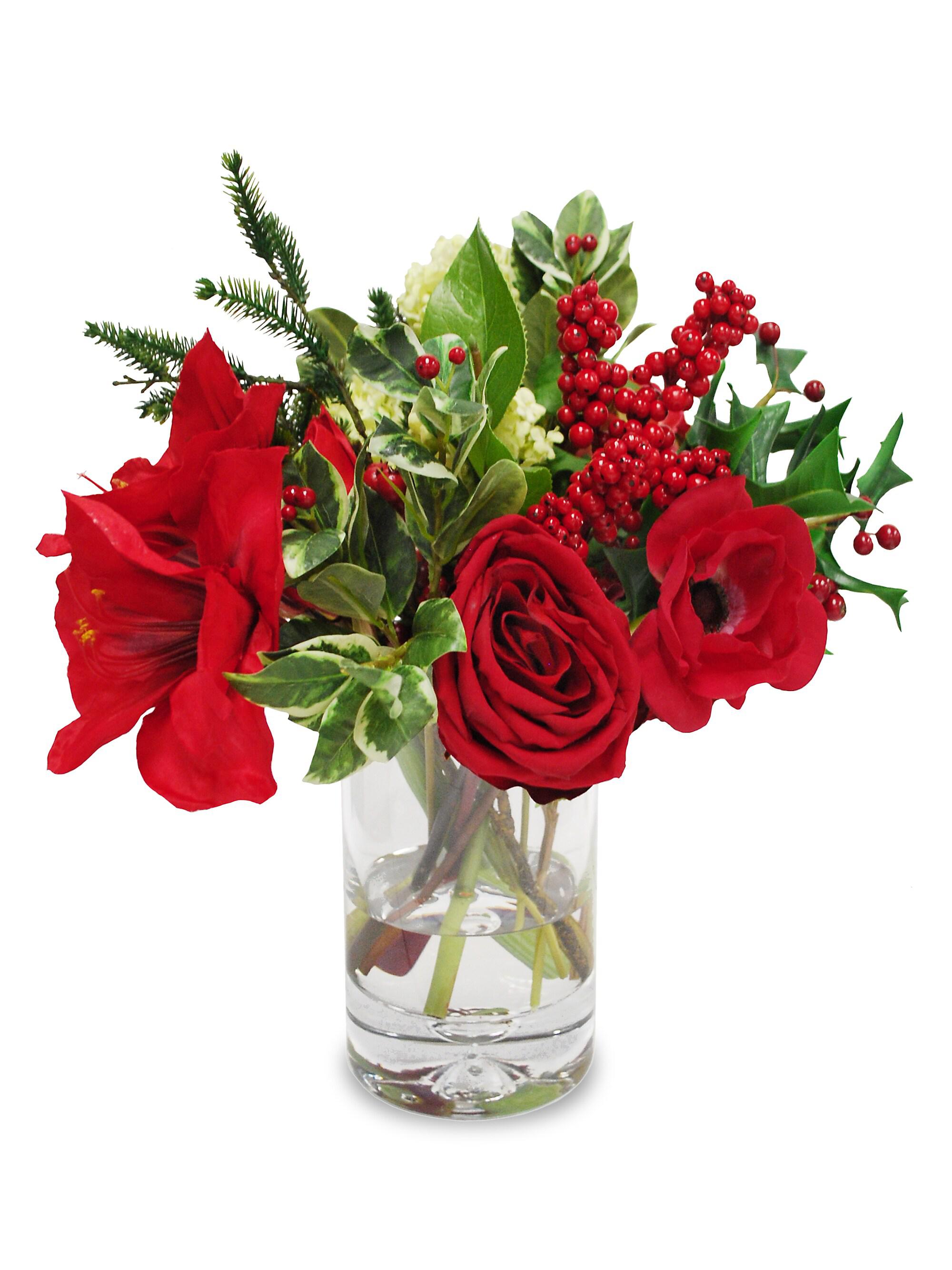 Winward Home Holiday Amaryllis Snowball In Vase