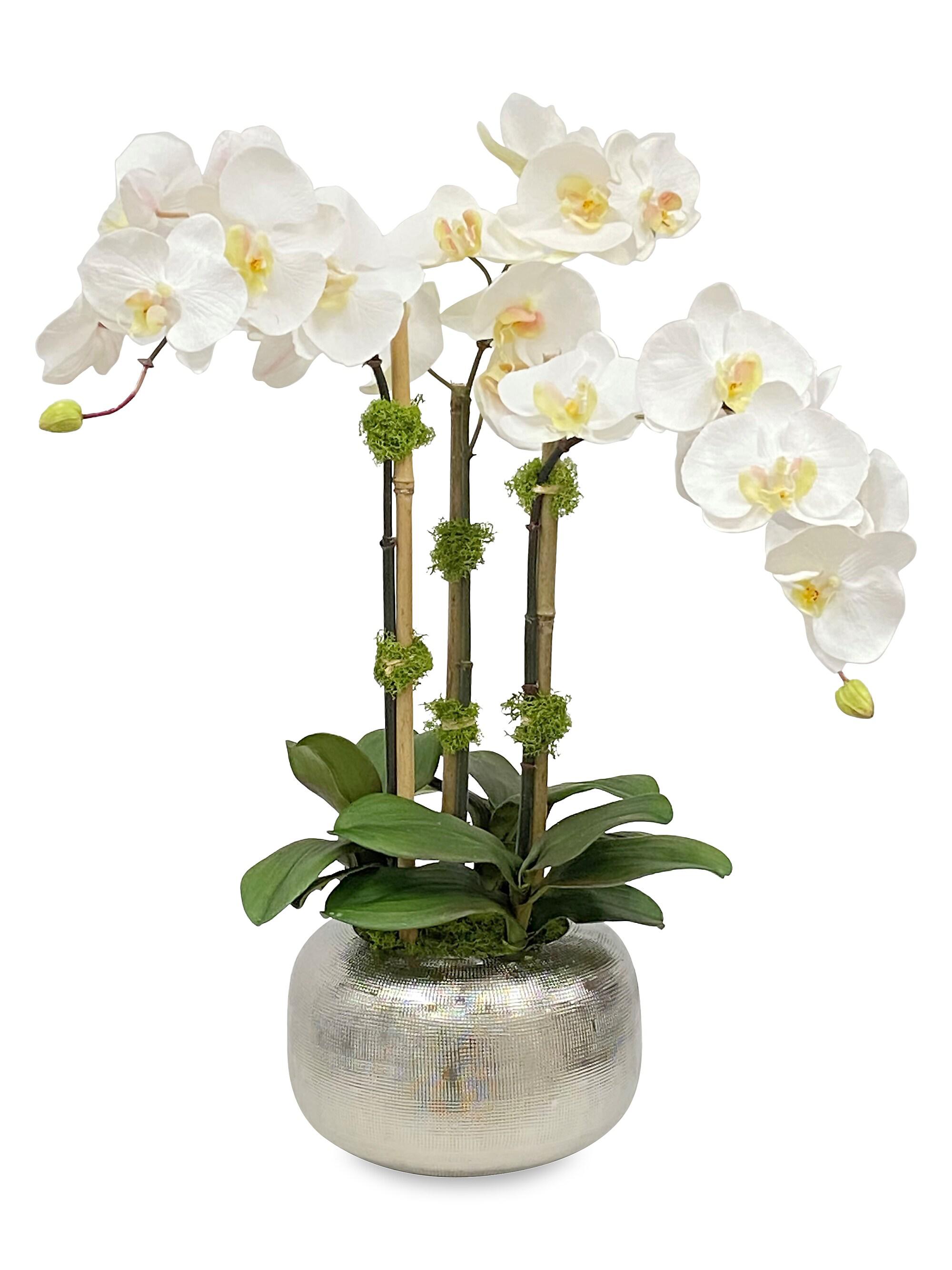 Imitation Orchid In Artisanal Pot