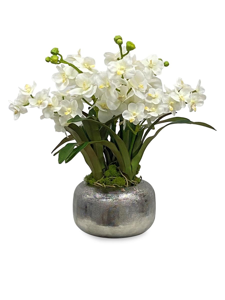 Winward Home Imitation Vanda Orchid In Pot