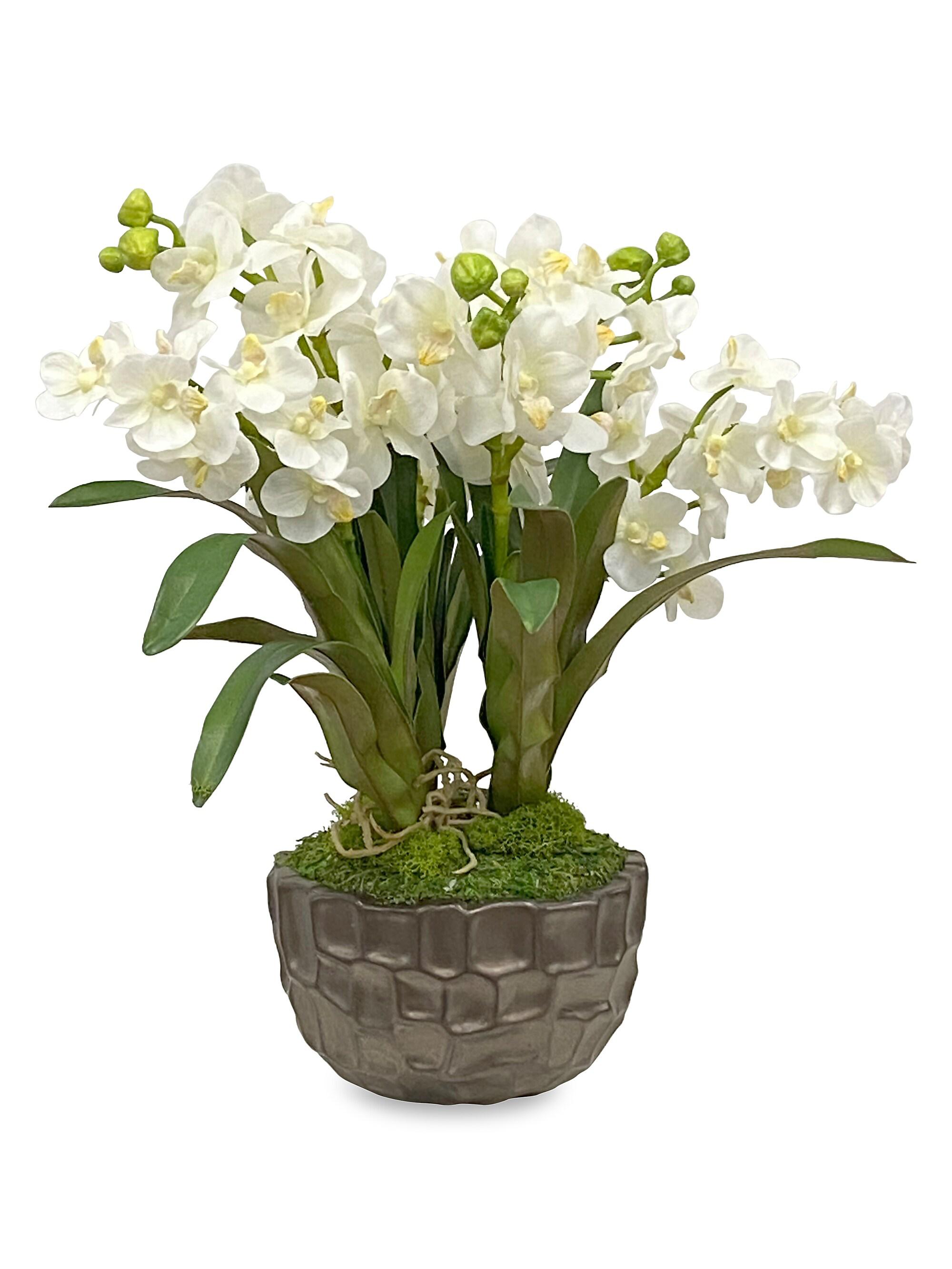 Winward Home Imitation Vanda Orchid In Bowl