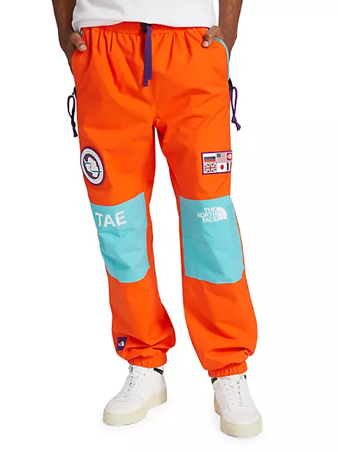Shop The North Face Tae Drawstring Pants | Saks Fifth Avenue