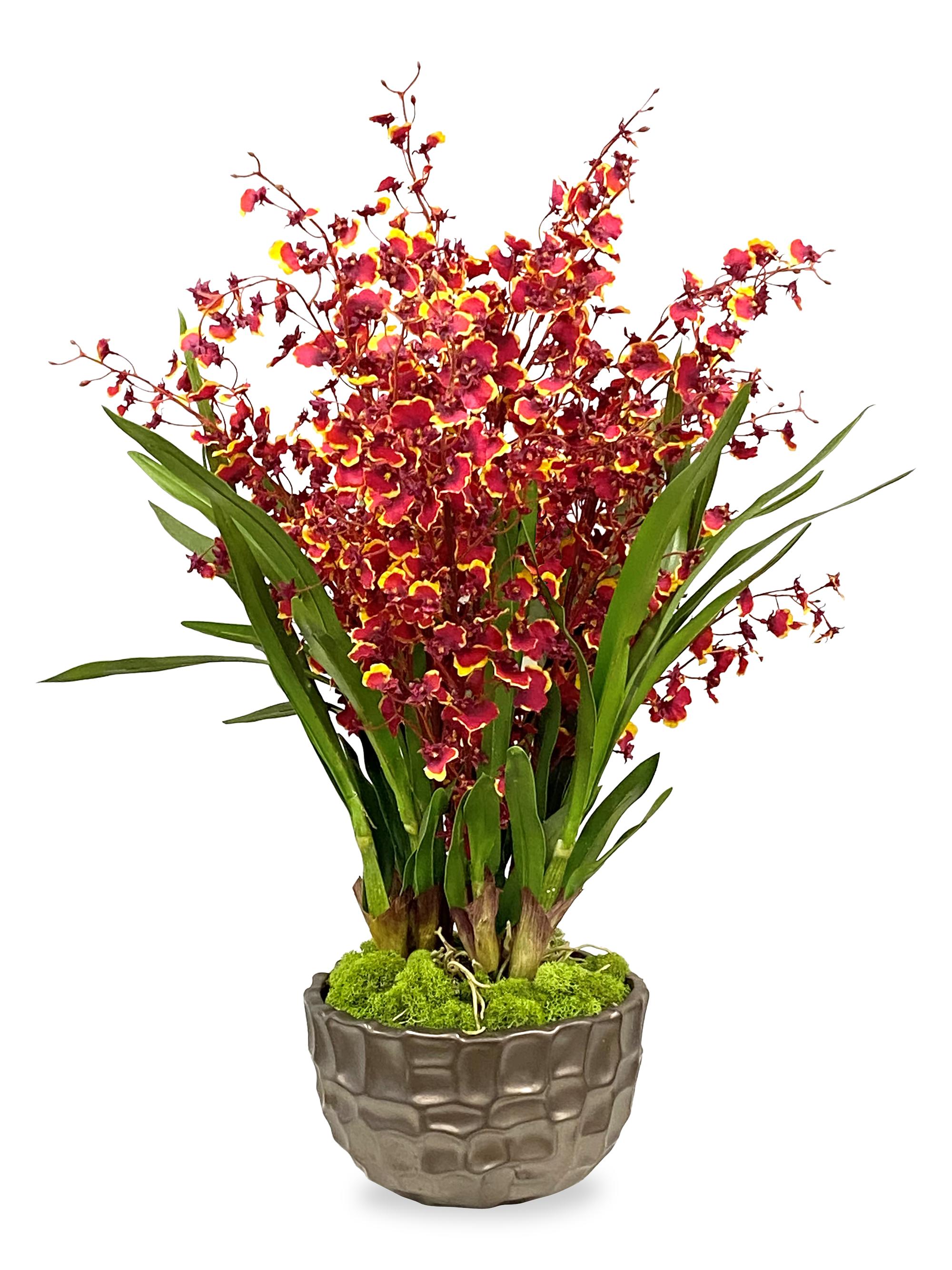 Winward Home Permanent Botanicals Imitation Dancing Lady Orchid In Modern Bowl - Burgundy