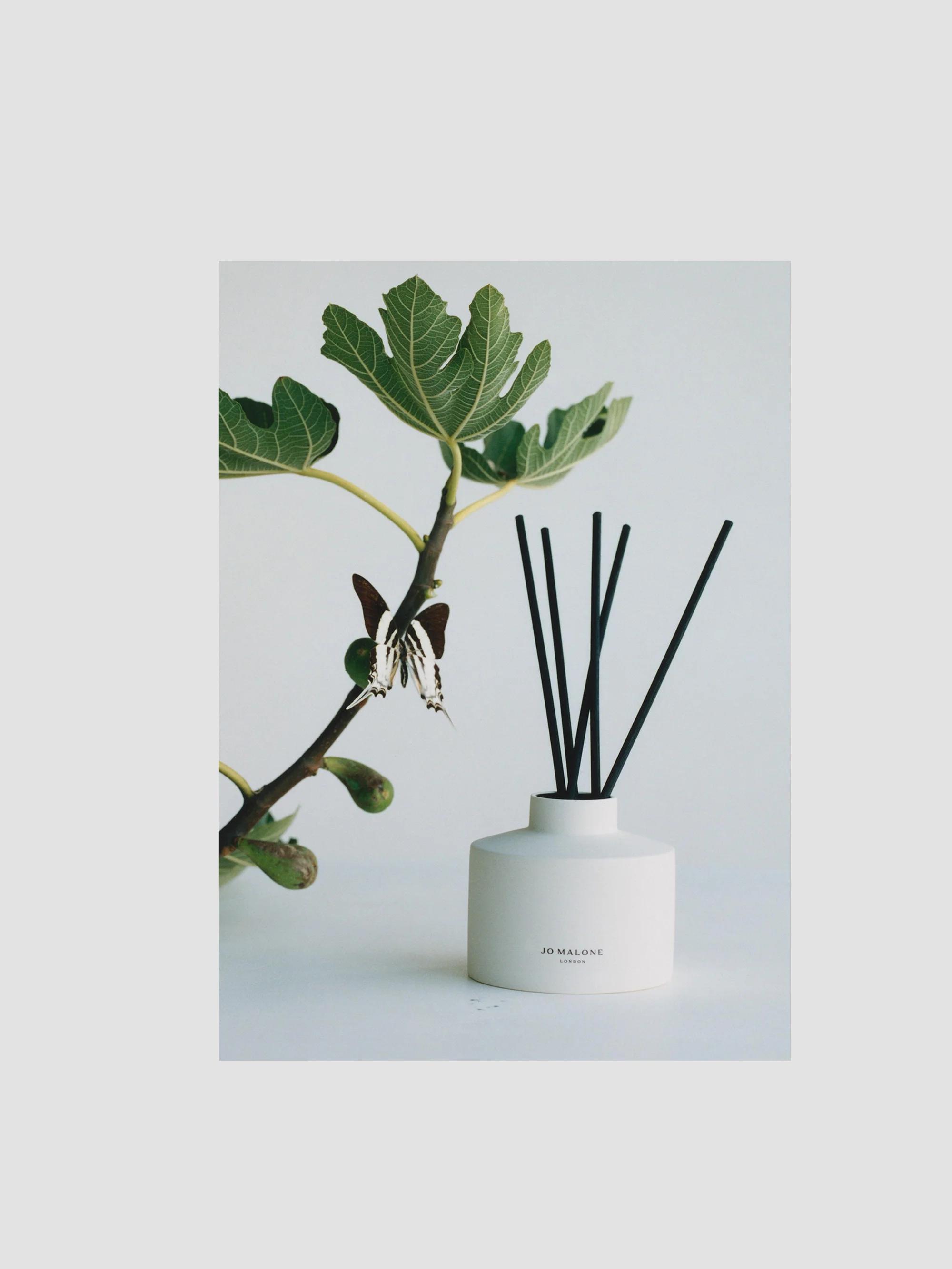 Jo Malone London Fresh Fig & Cassis Reed Diffuser | Saks Fifth Avenue