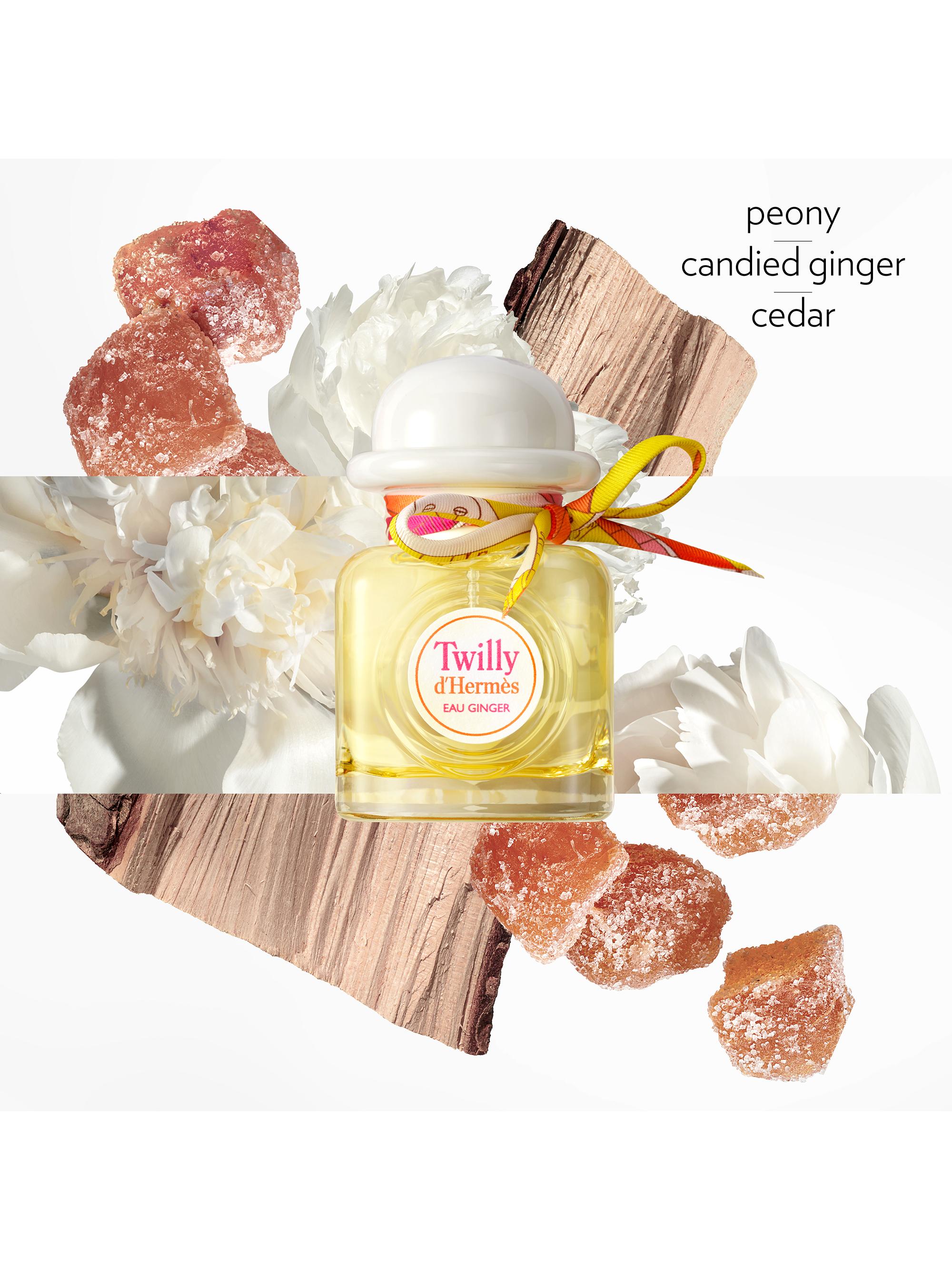 HERMÈS Twilly Eau Ginger Eau de Parfum | Saks Fifth Avenue
