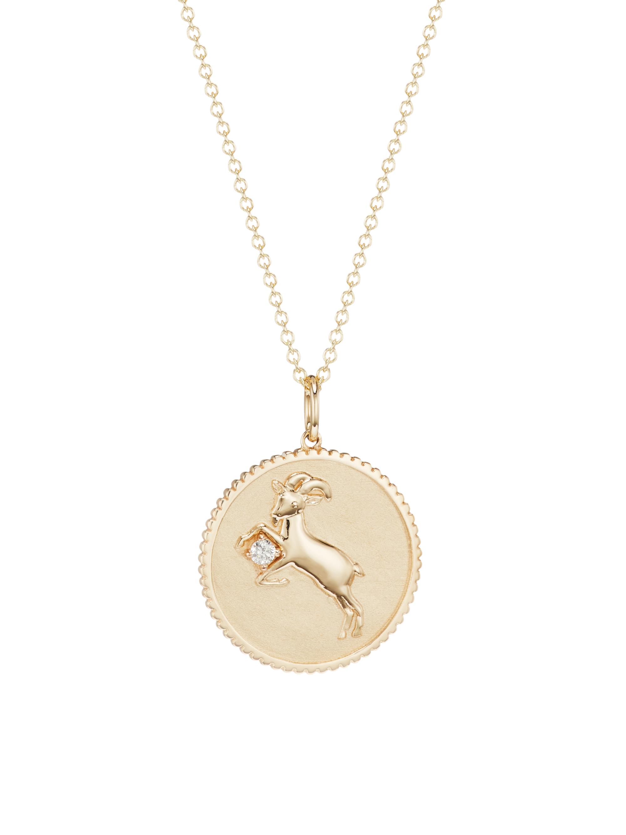 Sydney Evan Women's 14K Yellow Gold & Diamond  Zodiac Medallion Pendant Necklace - Capricorn