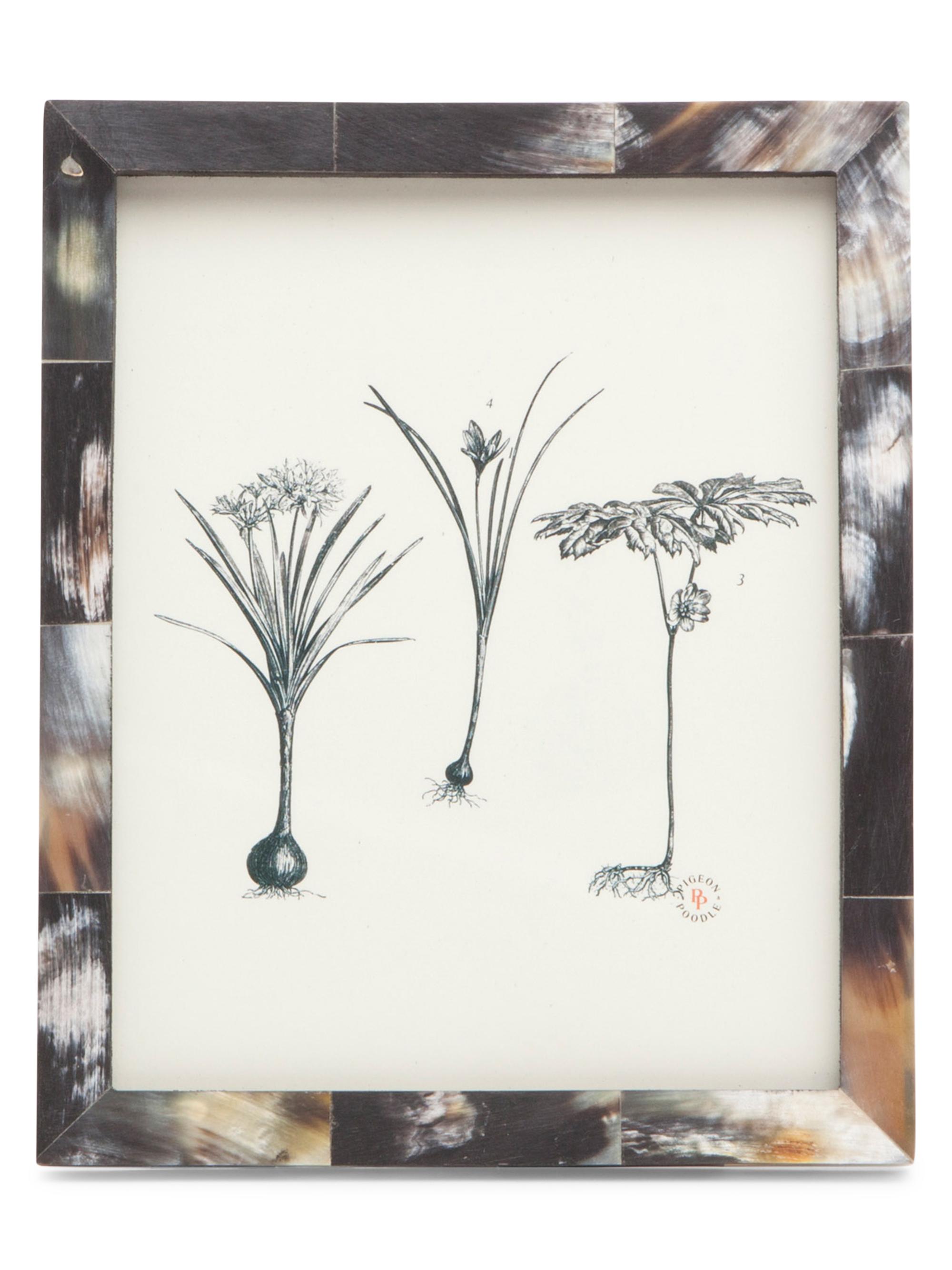 Pigeon & Poodle Essen Frame - Dark 4 x 6