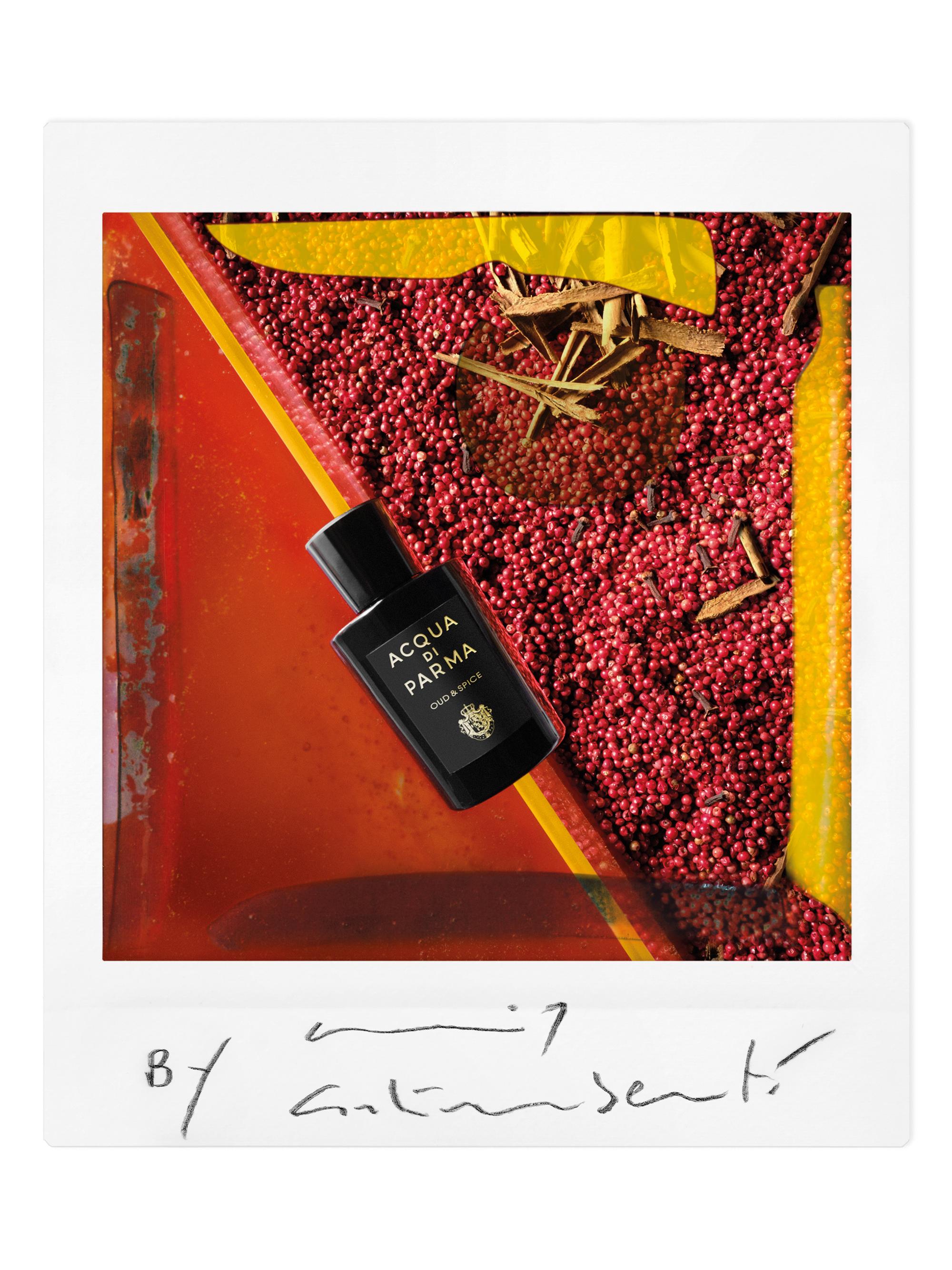 香水(ユニセックス) ACQUA DI PARMA OUD & SPICE 20ml Acqua di Parma