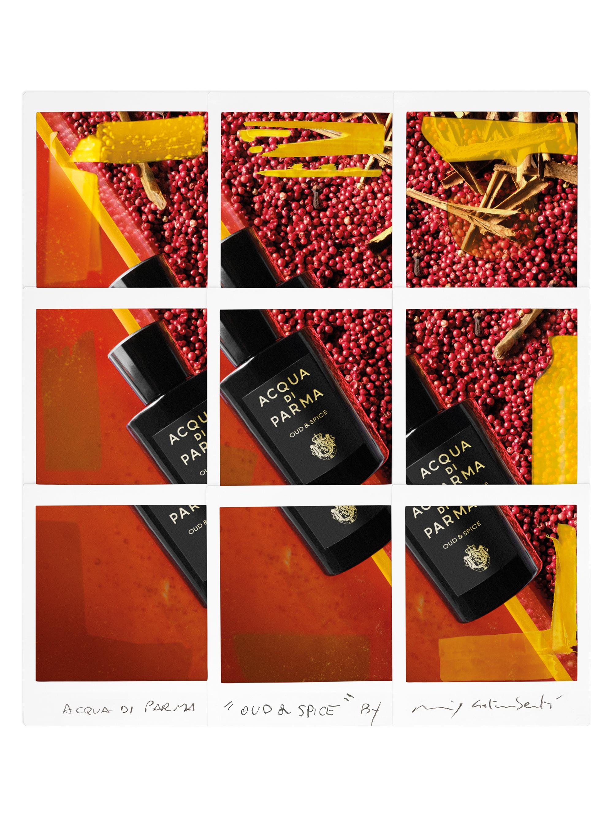 香水(ユニセックス) ACQUA DI PARMA OUD & SPICE 20ml Acqua di