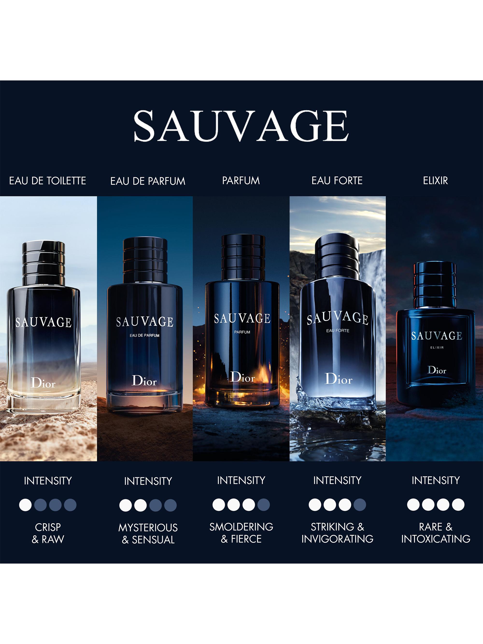 Dior SAUVAGE ELIXIR 香水 Sauvage淡香薰：Dior經典男士香薰| Dior HK