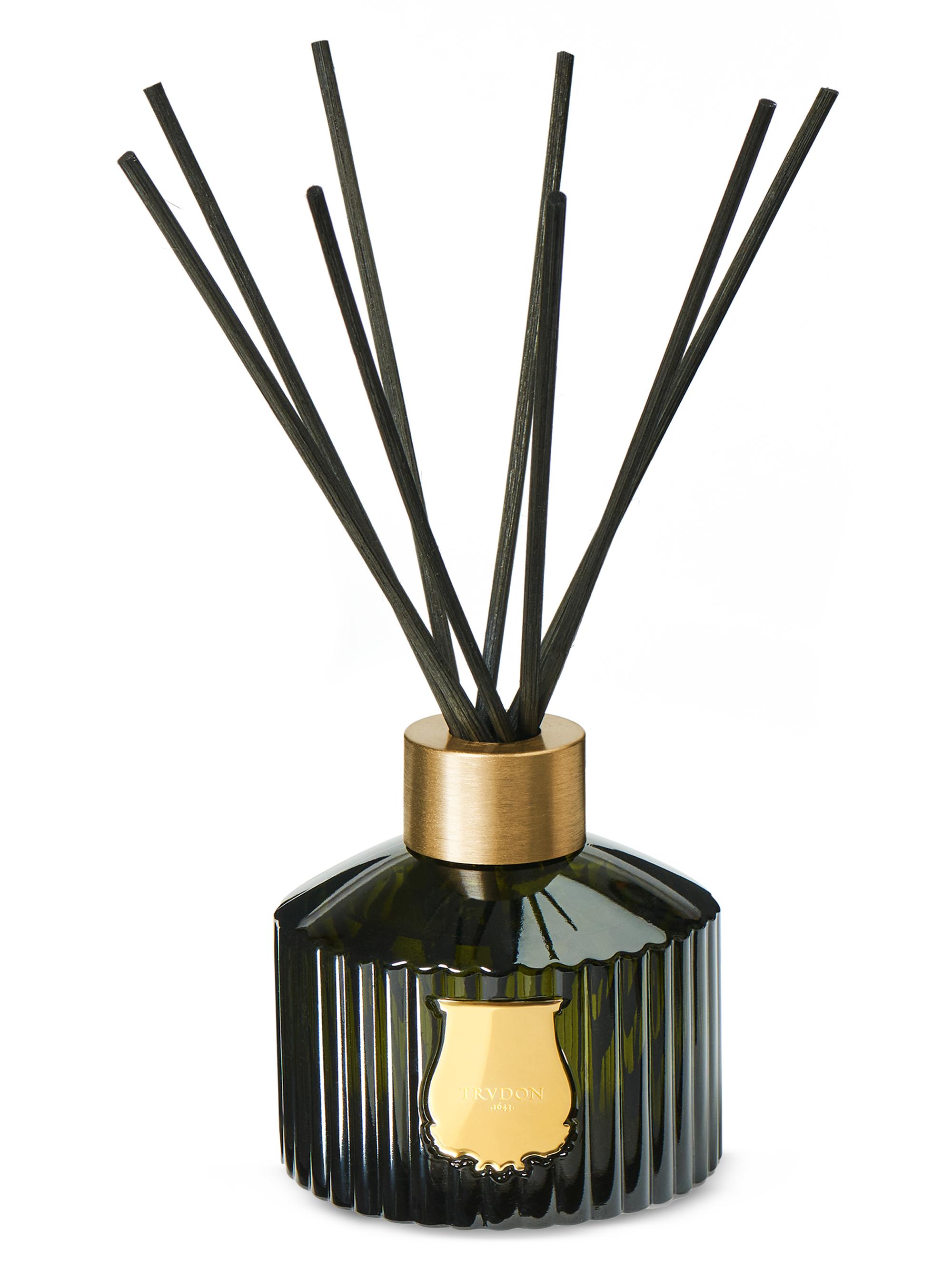 Trudon Spiritus Sancti Le Diffuser Incense